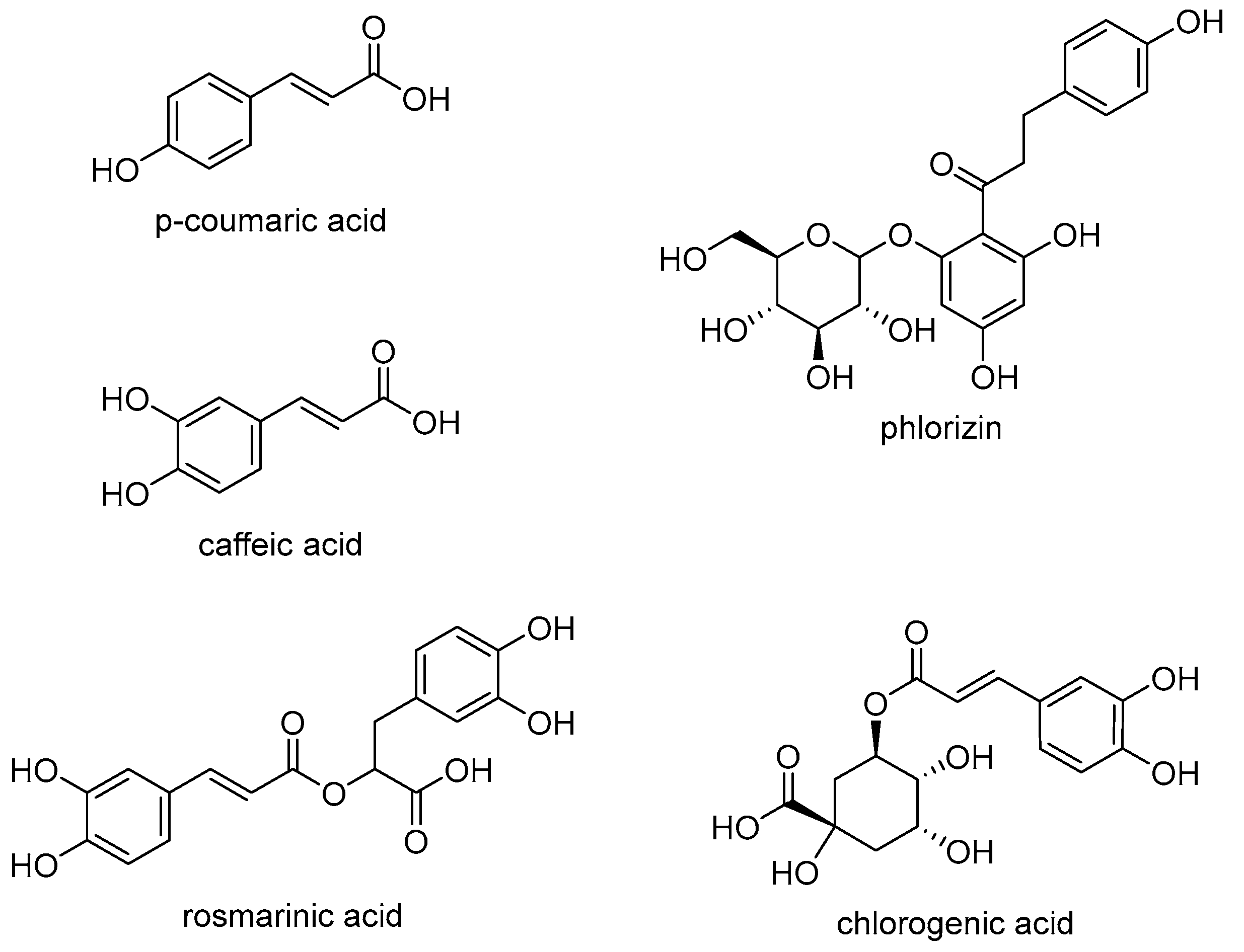 Molecules 30 04584 g009