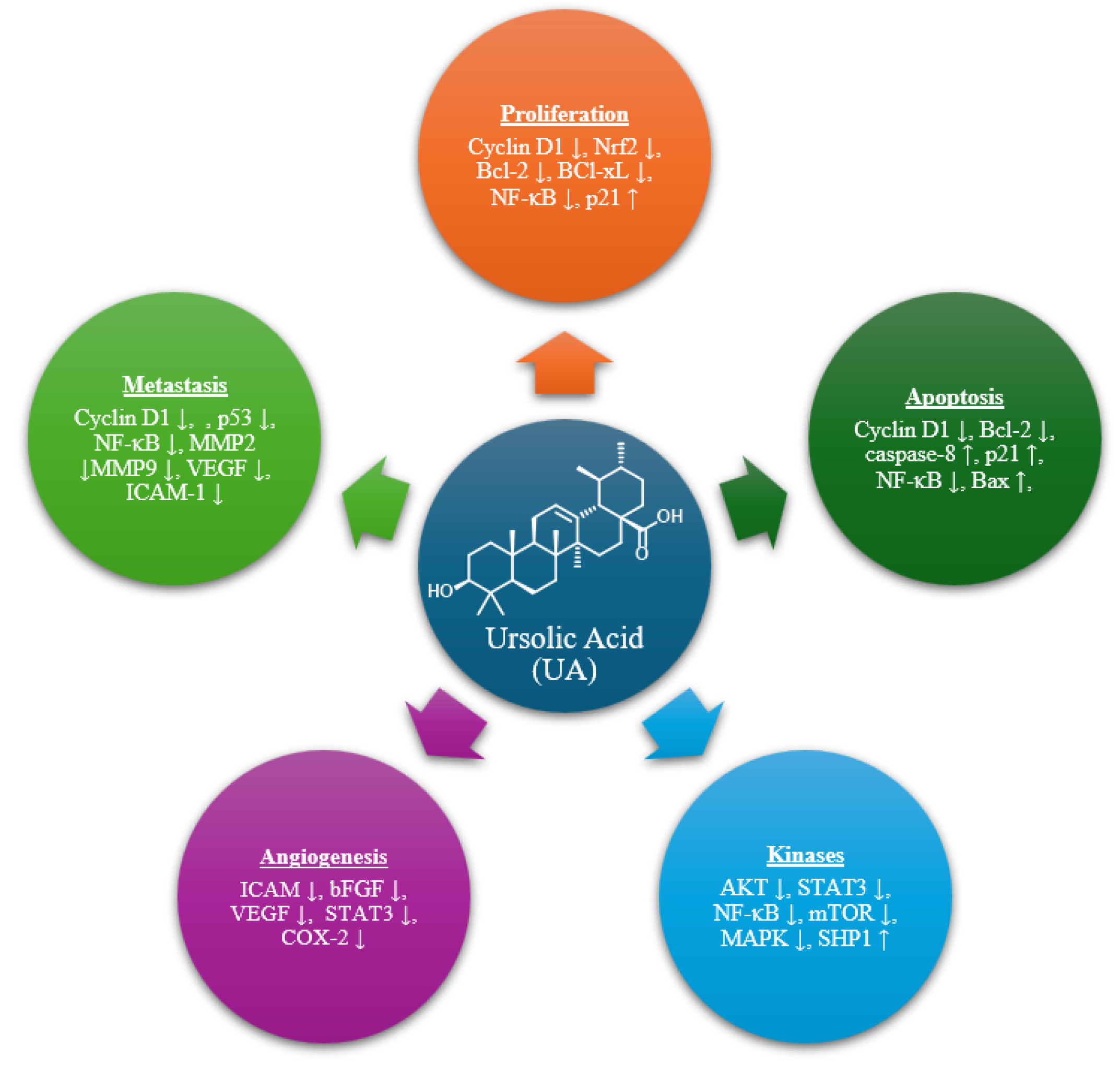 Molecules 30 04588 g001 Molecules 30 04588 g001