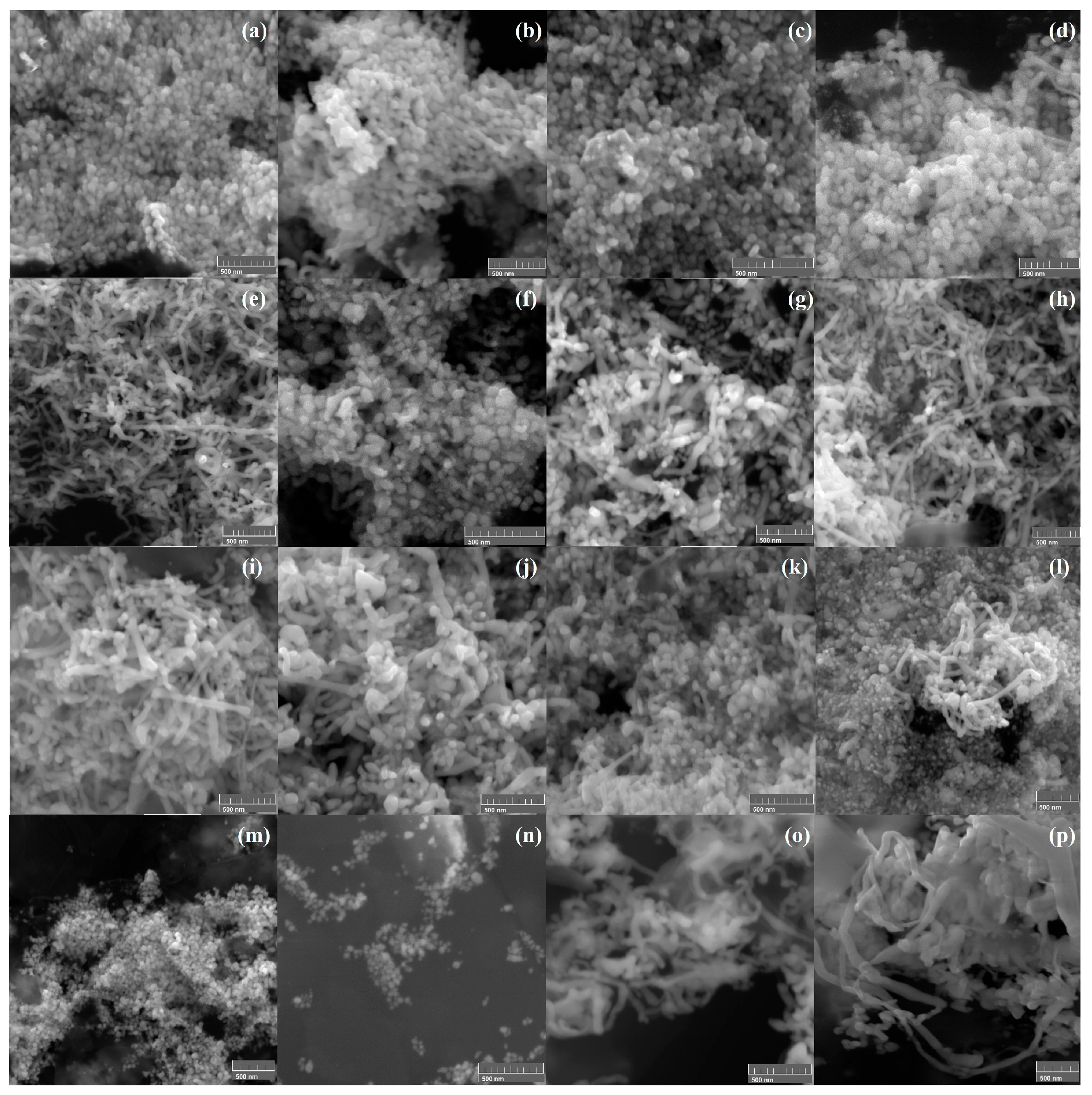 Molecules 30 04596 g001