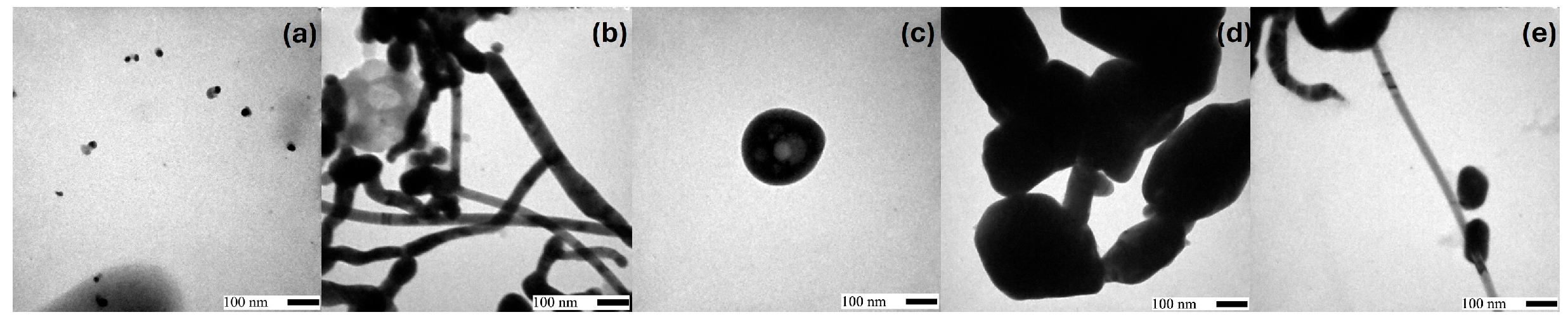 Molecules 30 04596 g002