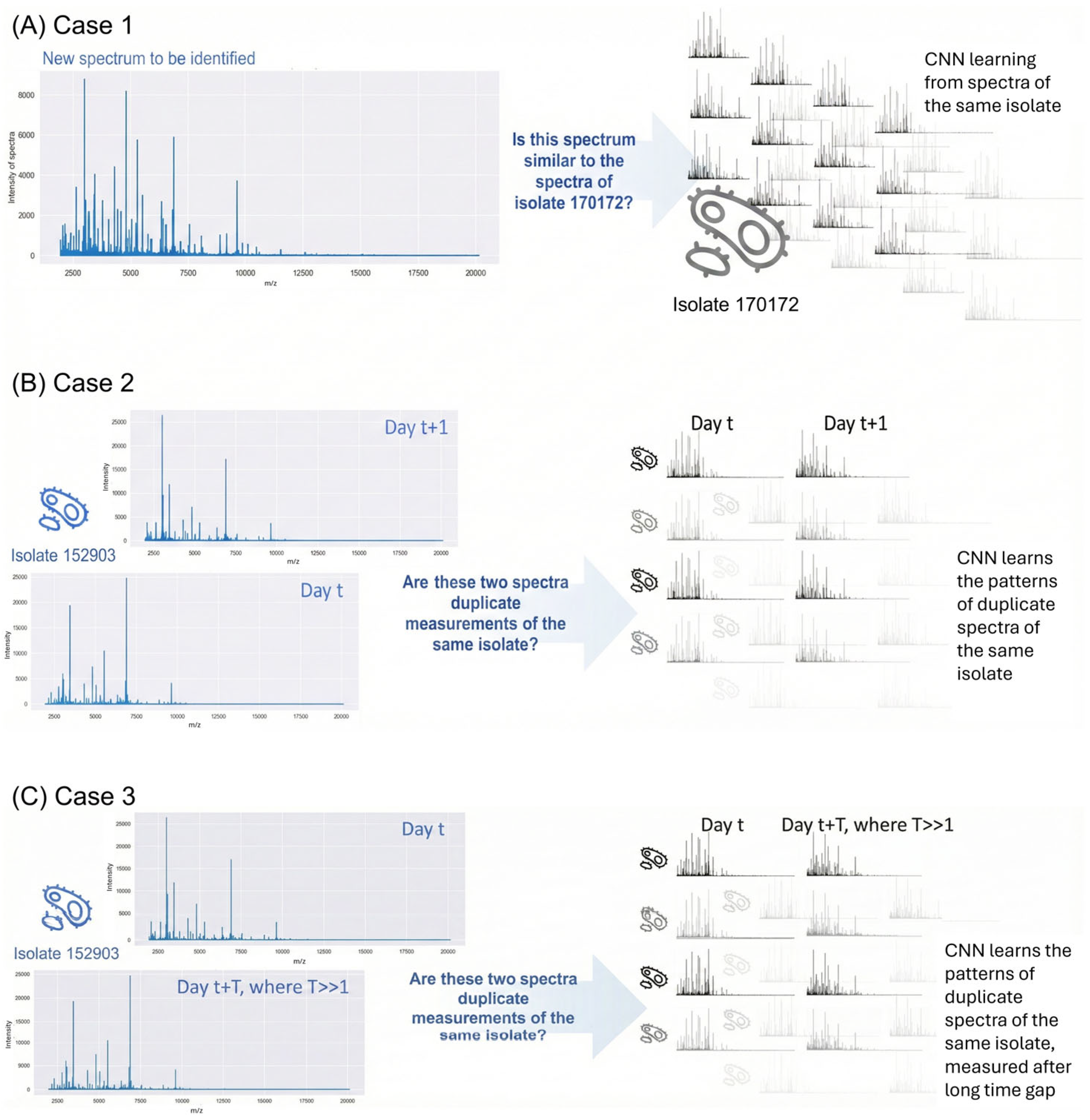 Molecules 30 04597 g001