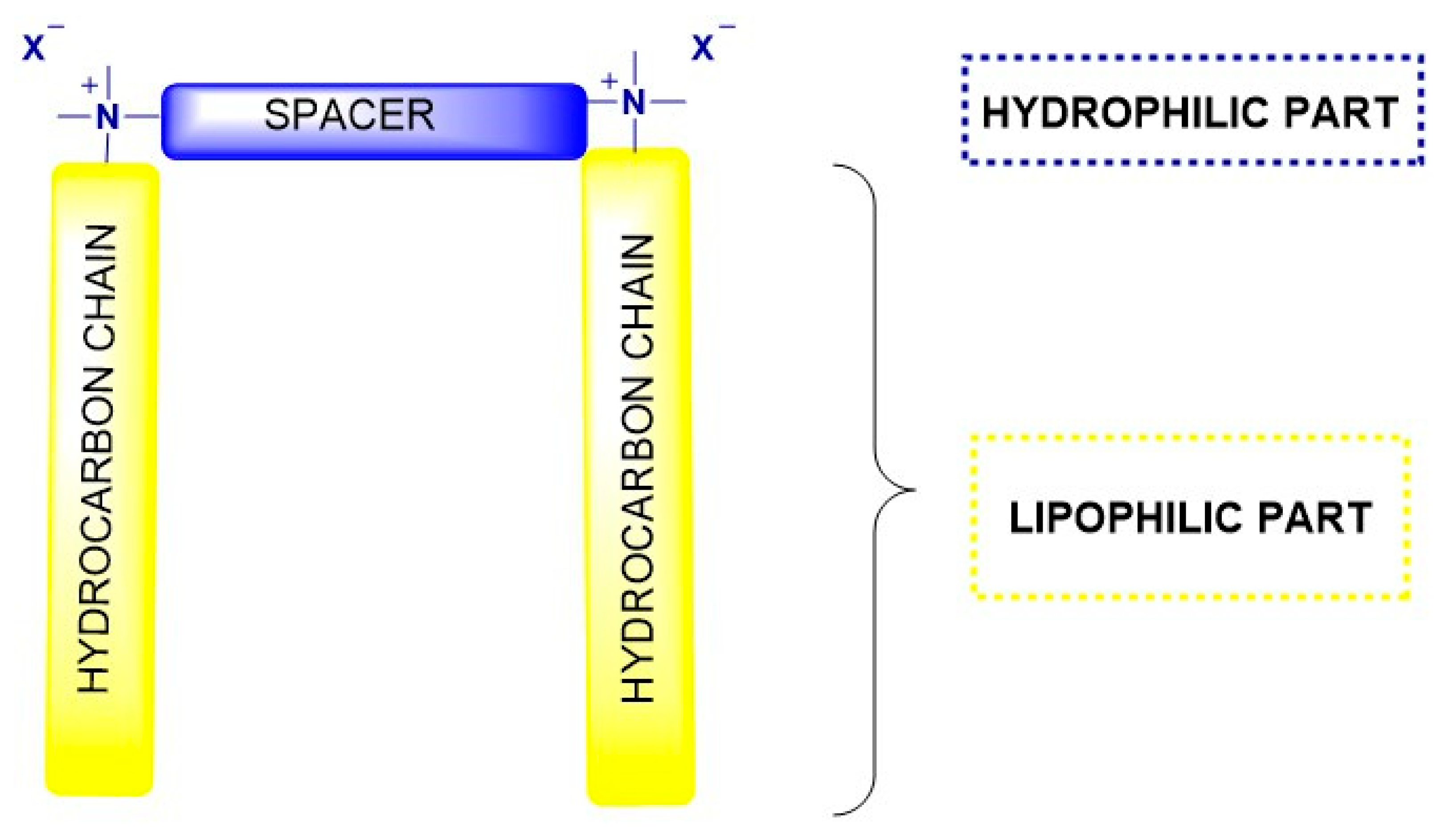 Molecules 30 04599 g001