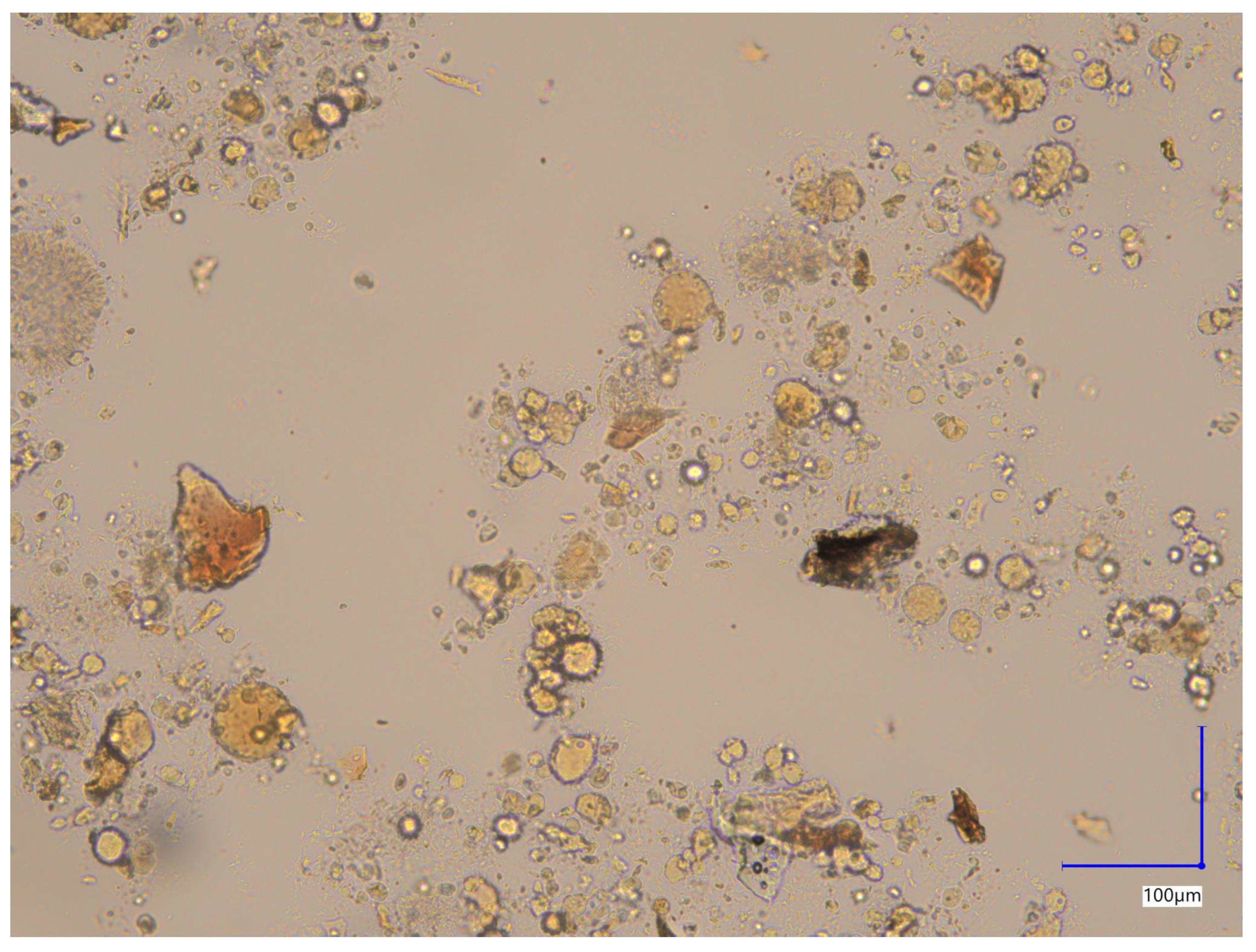 Molecules 30 04600 g002