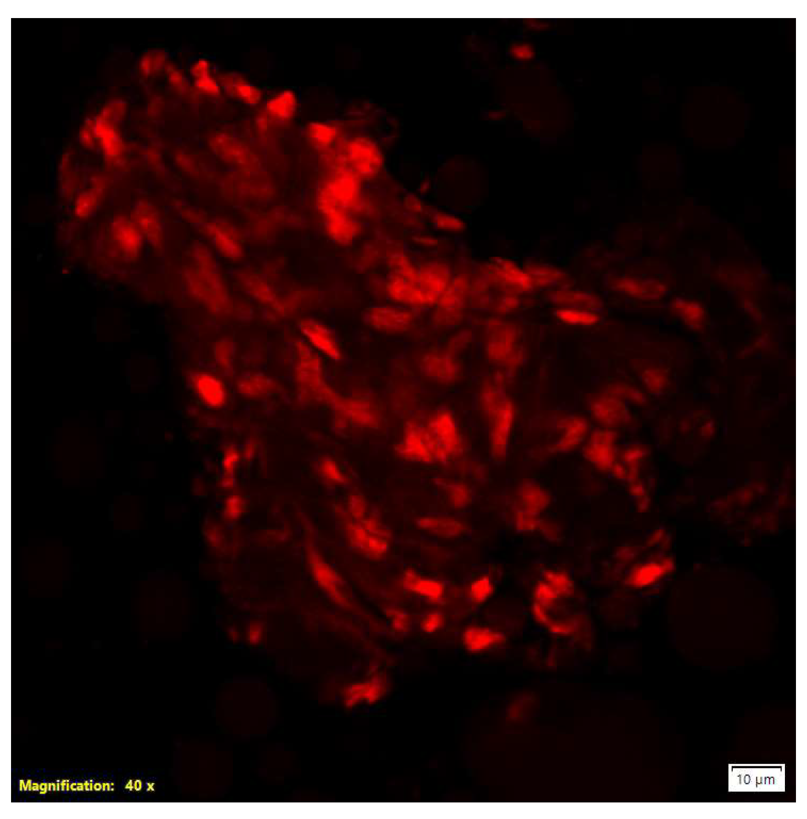 Molecules 30 04600 g003