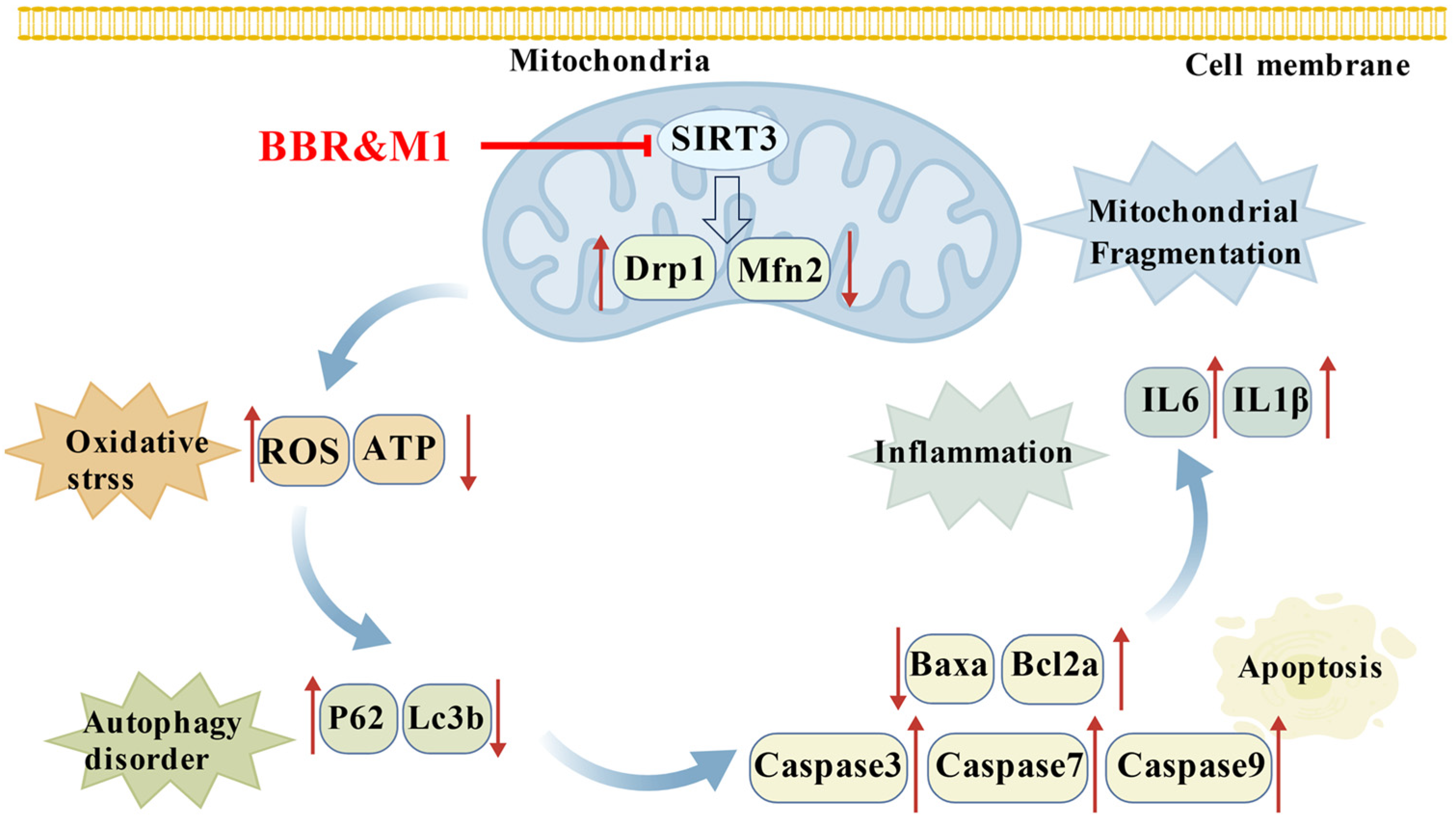 Molecules 30 04602 g006