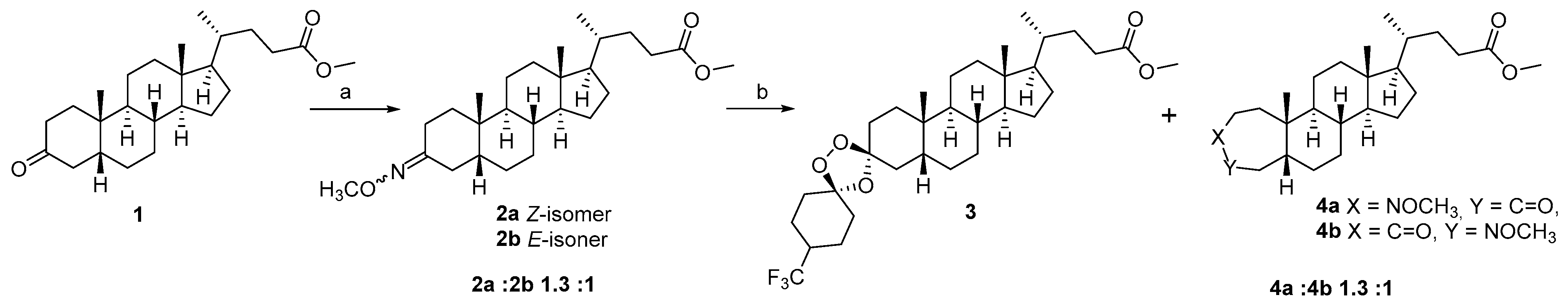 Molecules 30 04613 sch001 Molecules 30 04613 sch001
