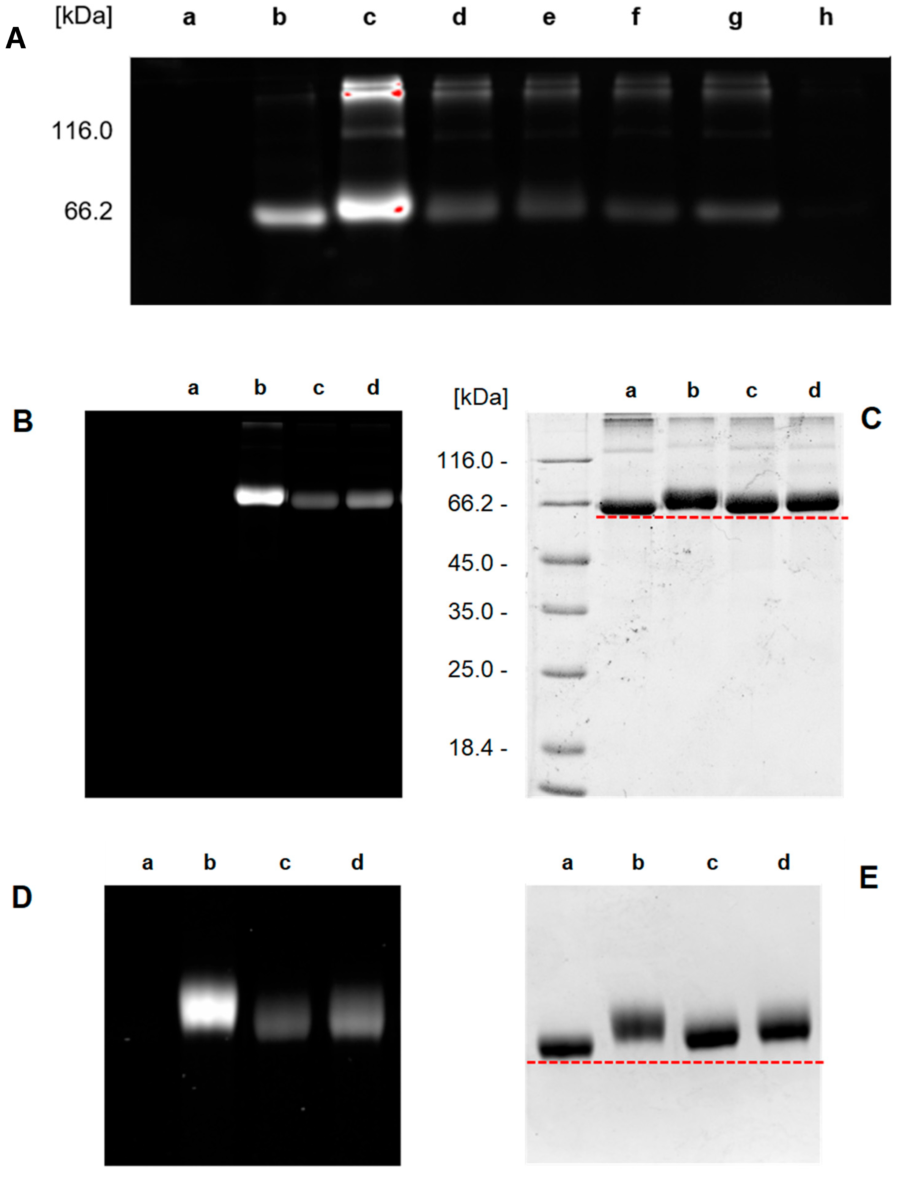 Molecules 30 04623 g003