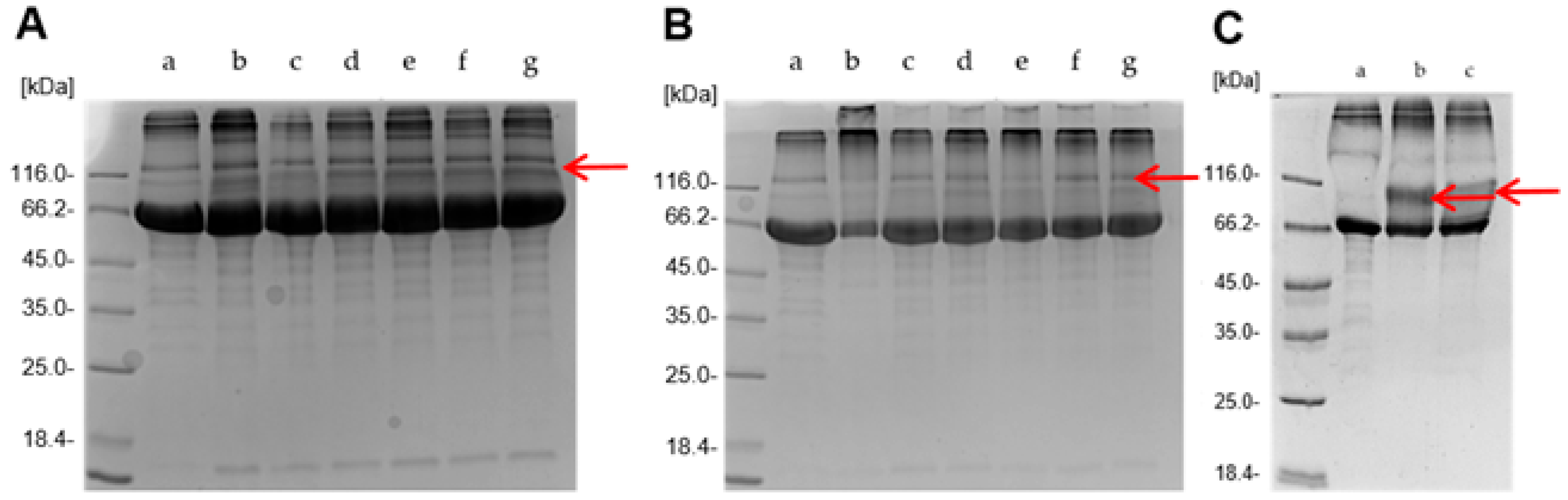 Molecules 30 04623 g004