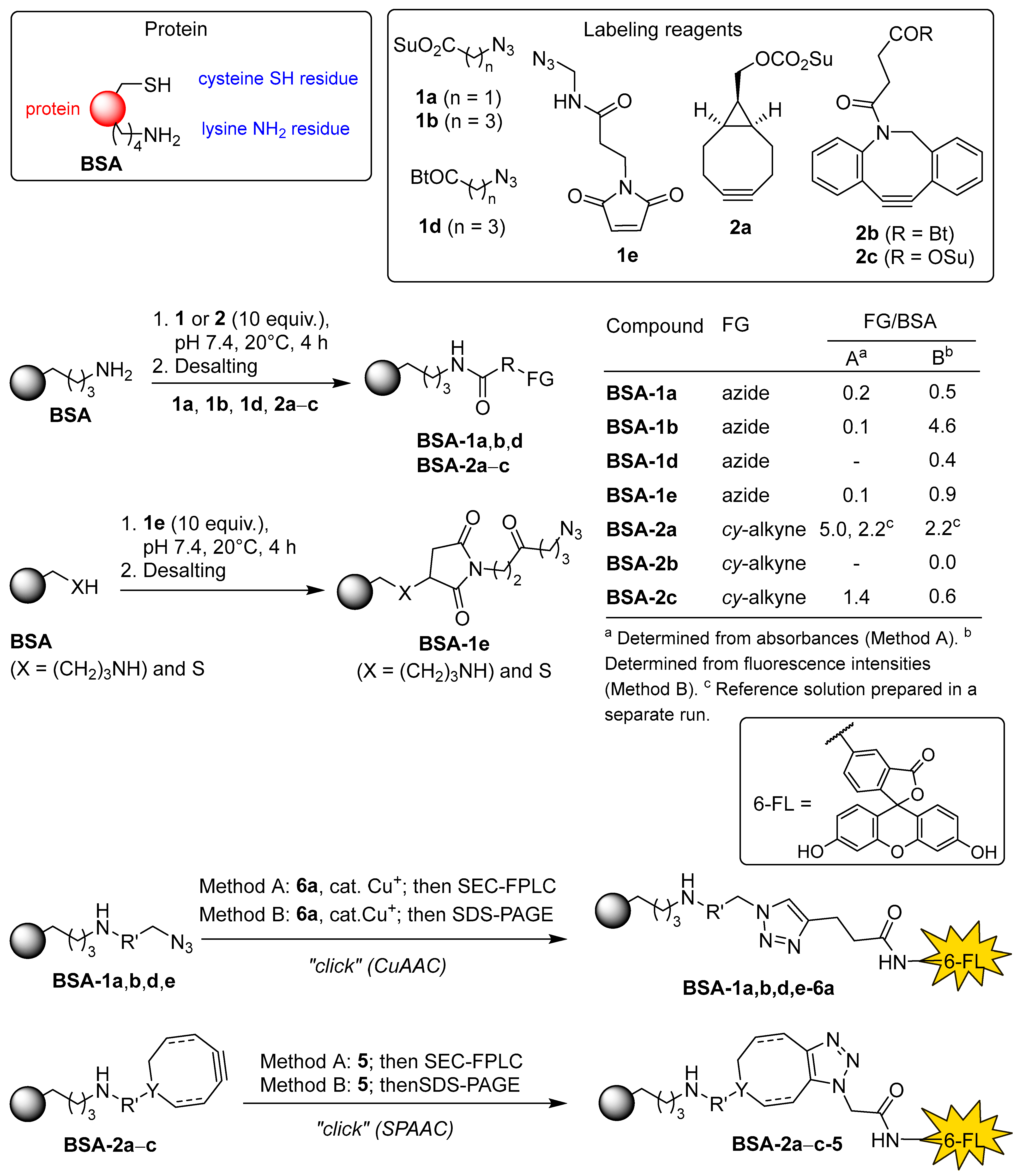 Molecules 30 04623 sch005