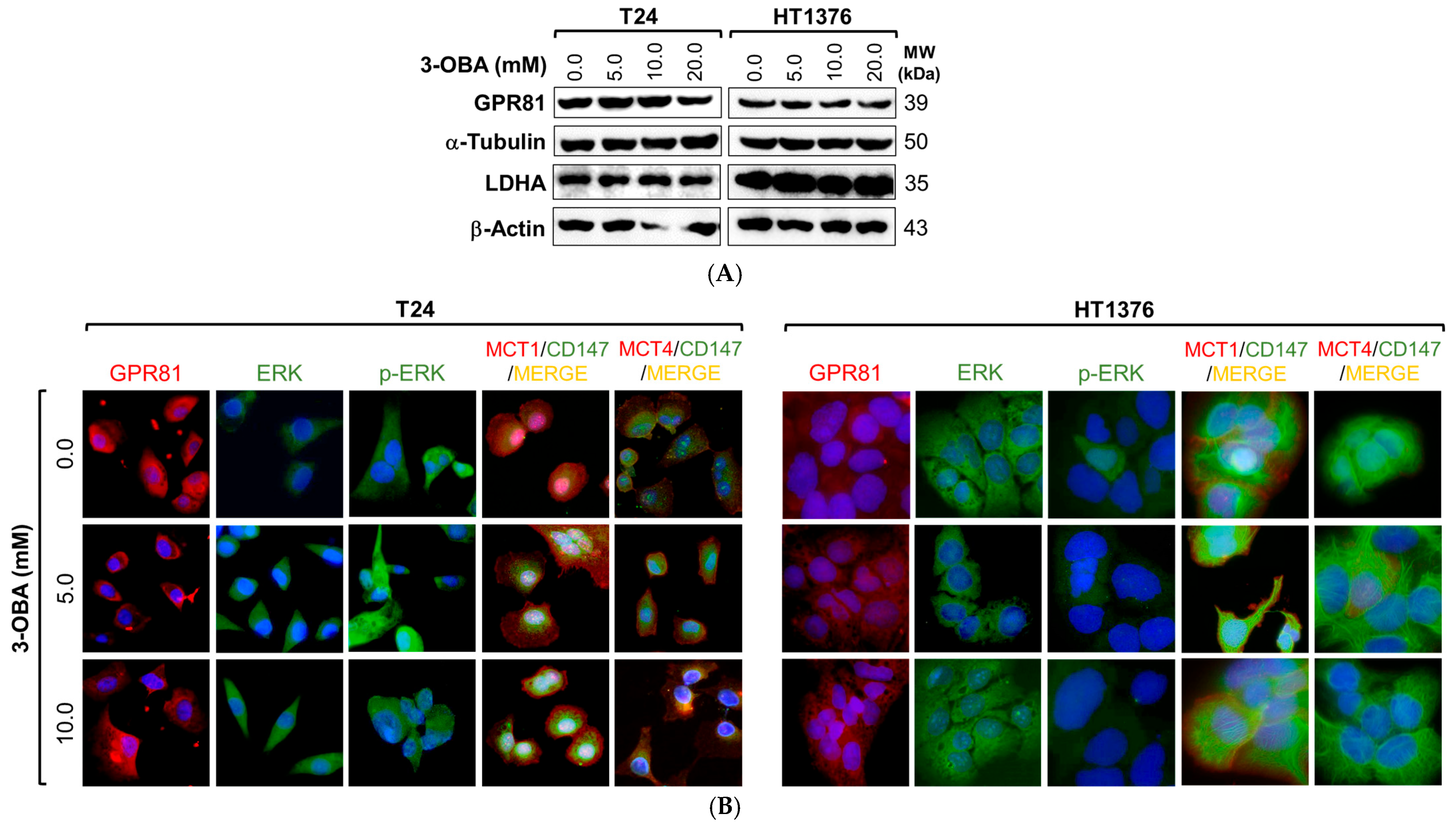 Molecules 30 04624 g005