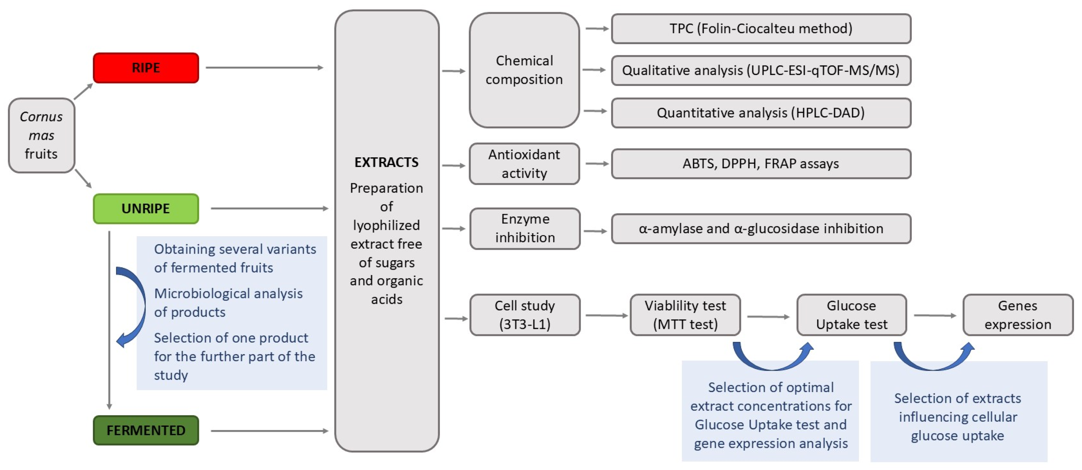 Molecules 30 04625 g003