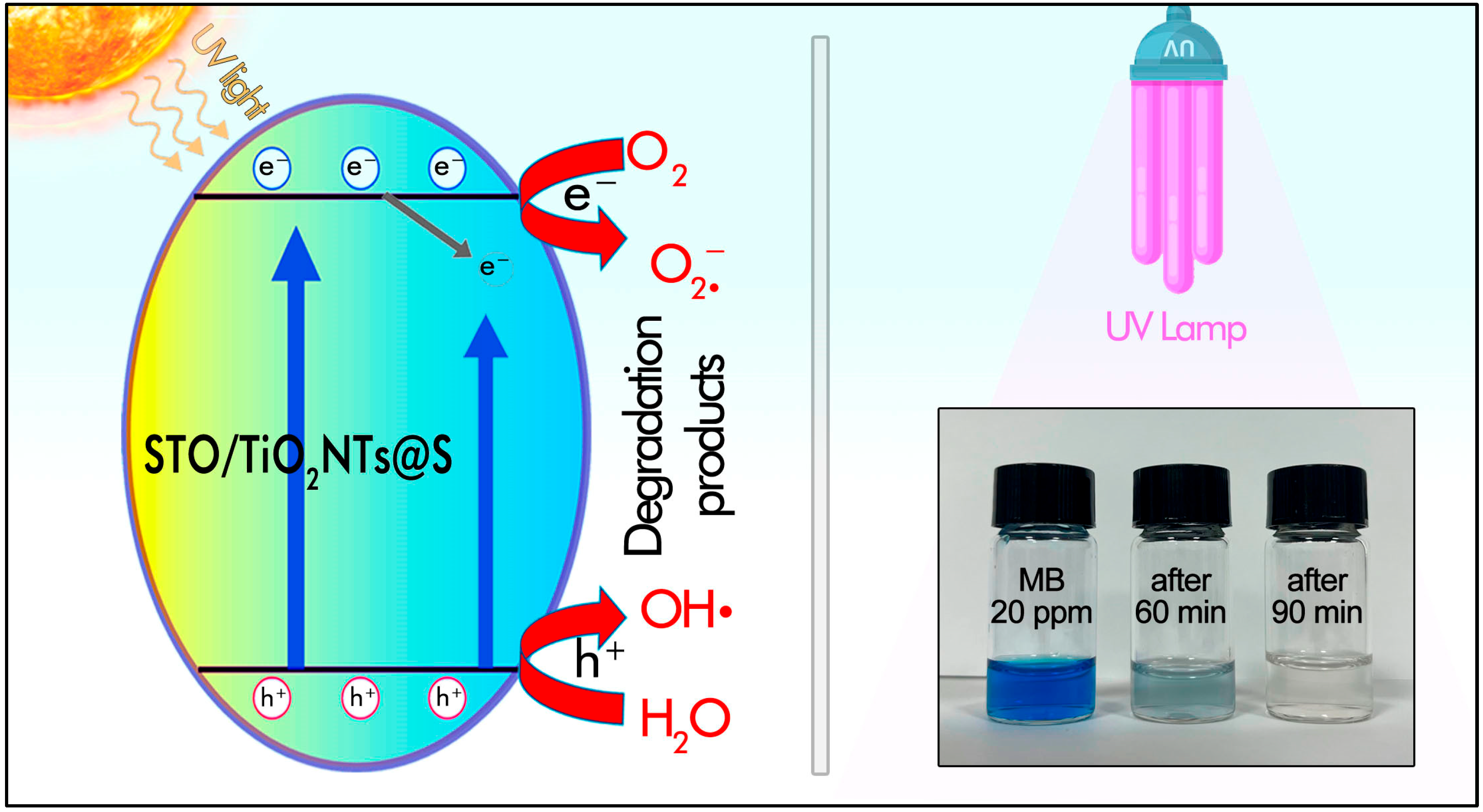 Molecules 30 04626 g001
