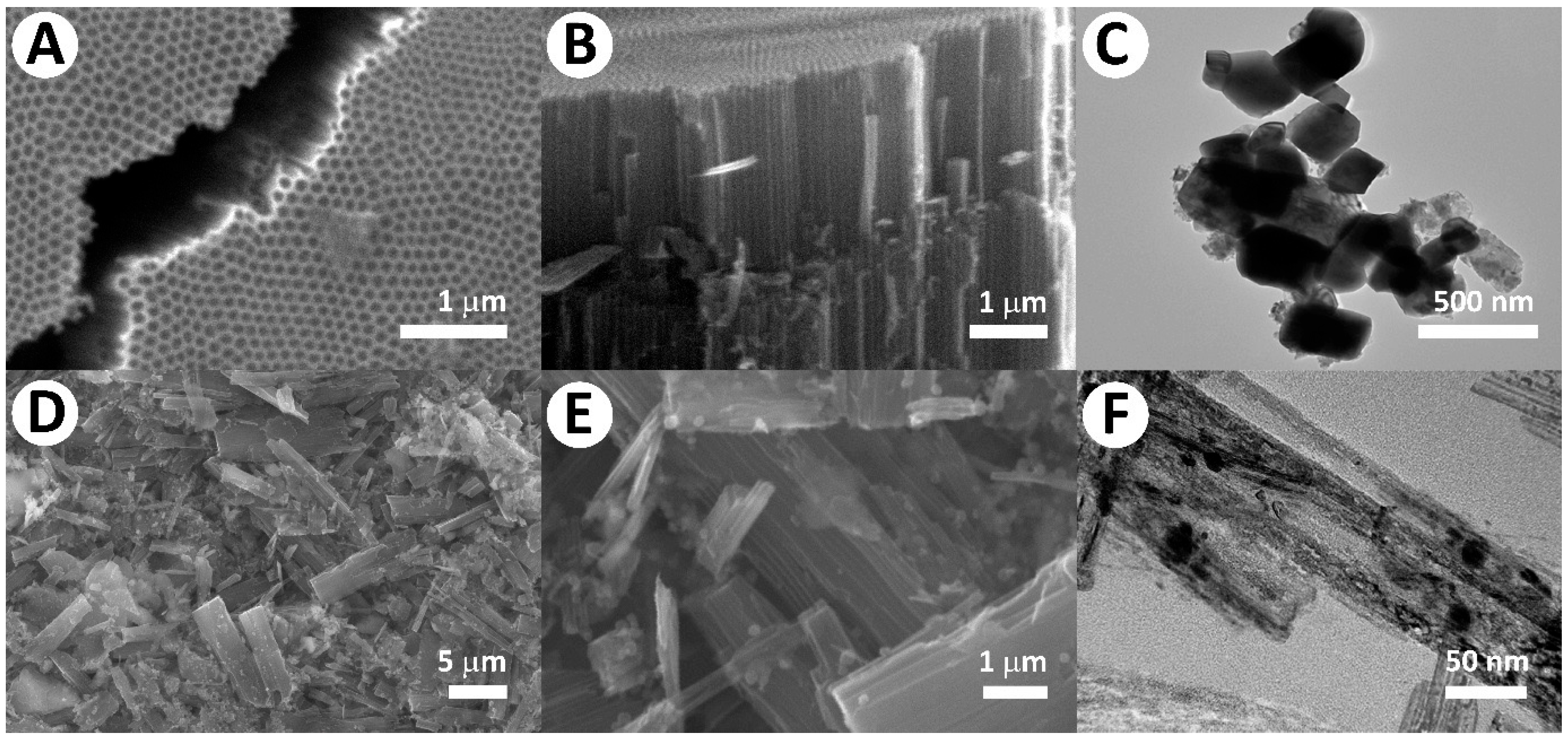 Molecules 30 04626 g002