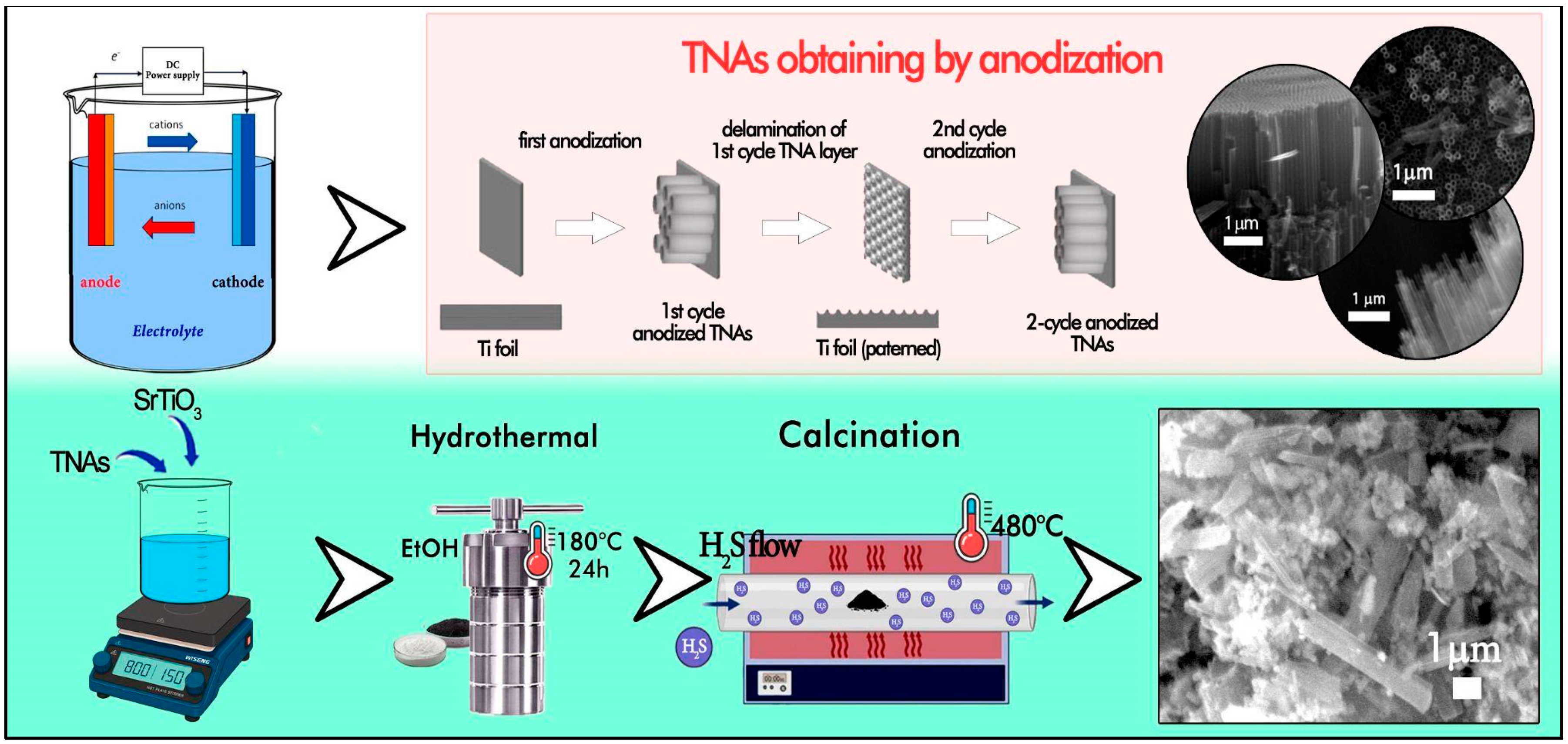 Molecules 30 04626 g006