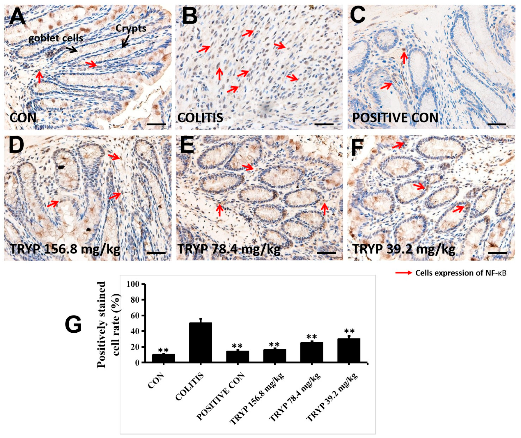 Molecules 30 04638 g005