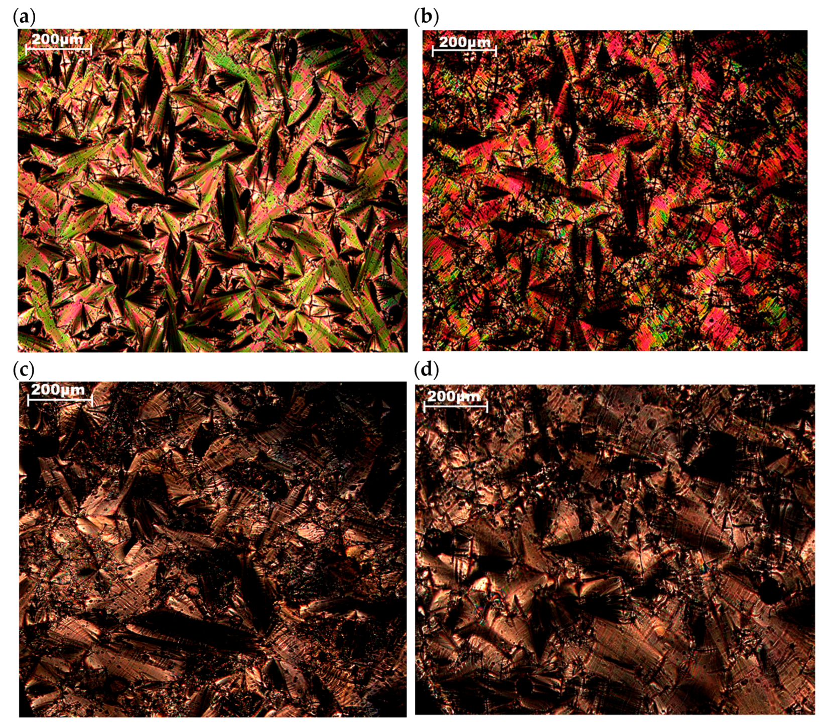 Molecules 30 04639 g005