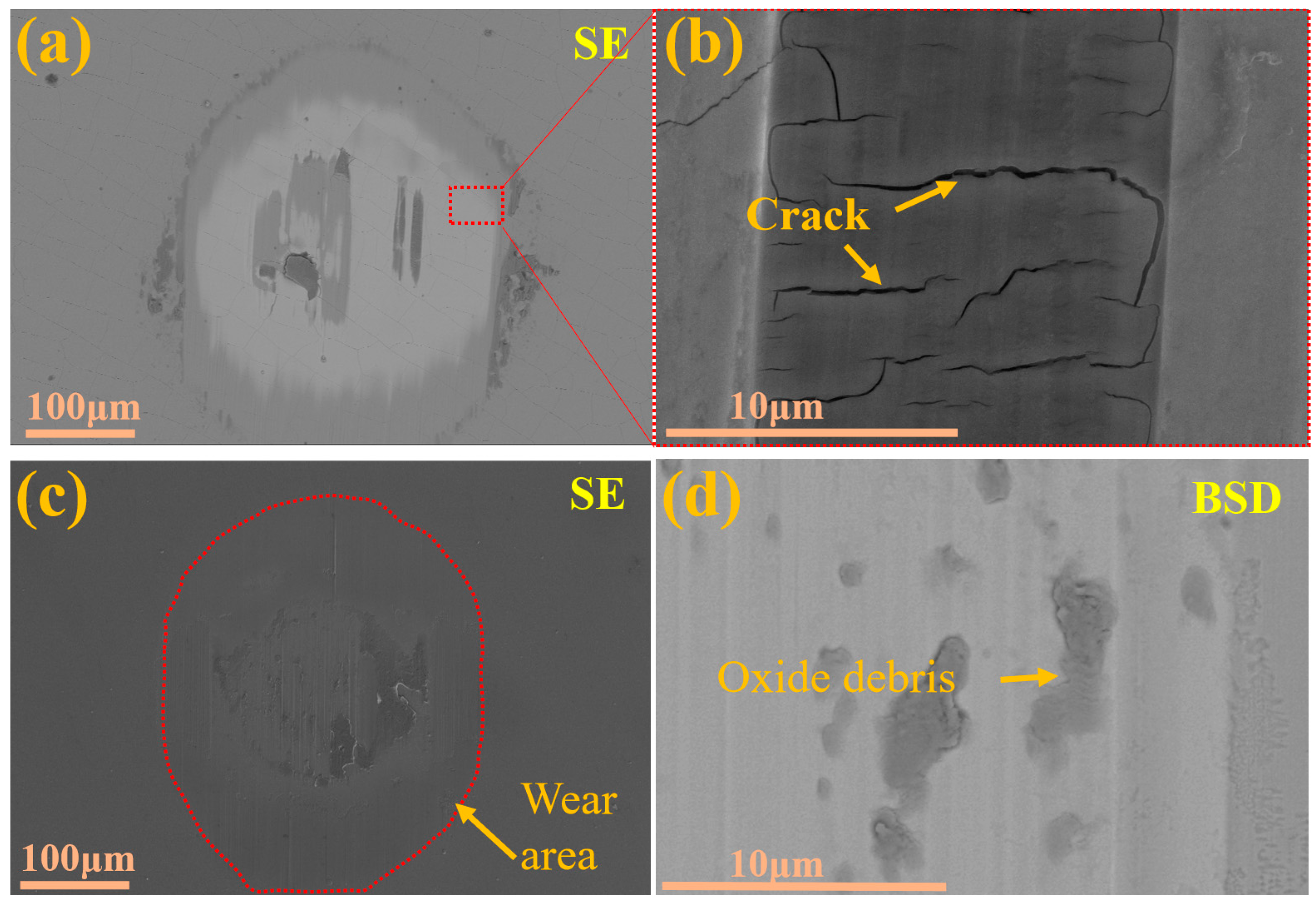 Molecules 30 04640 g007