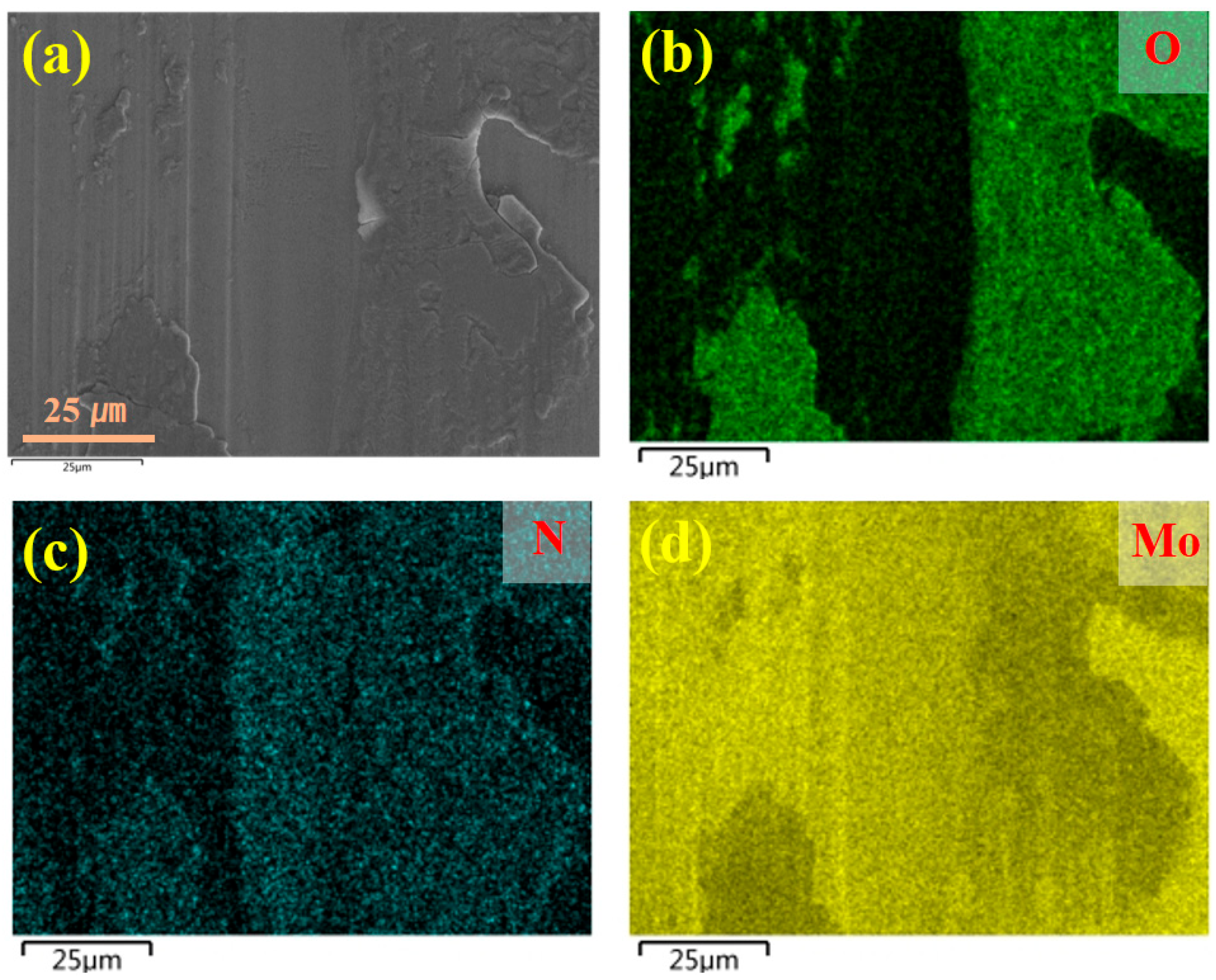 Molecules 30 04640 g009
