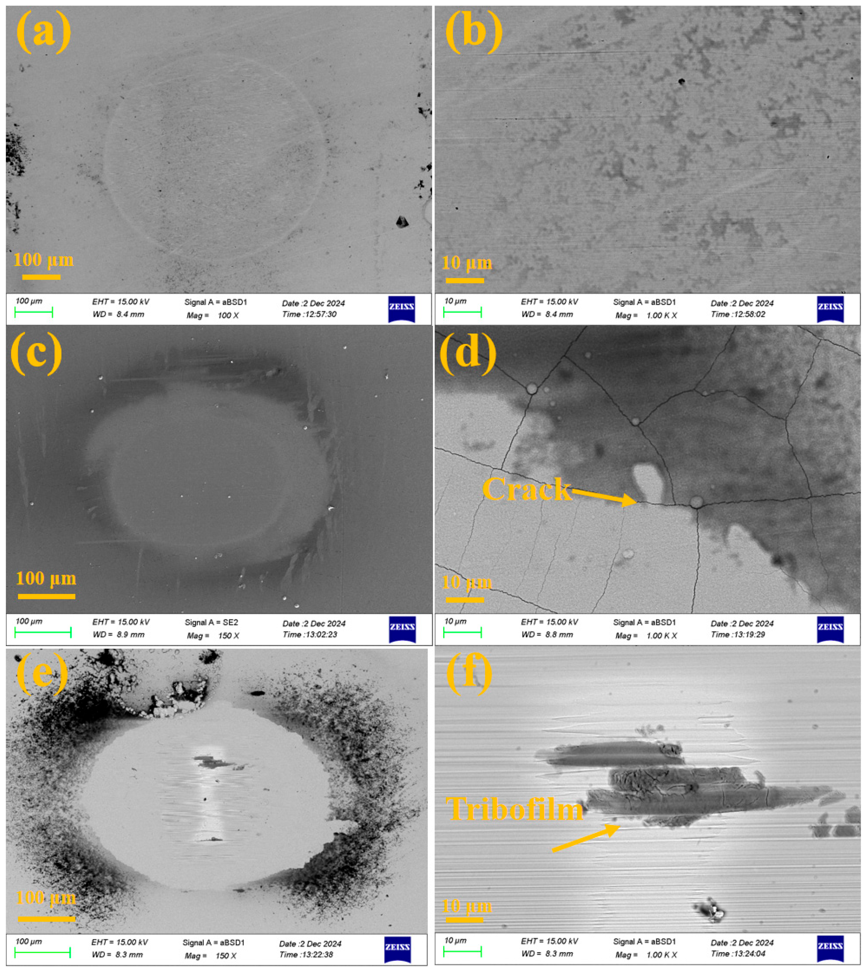 Molecules 30 04640 g012