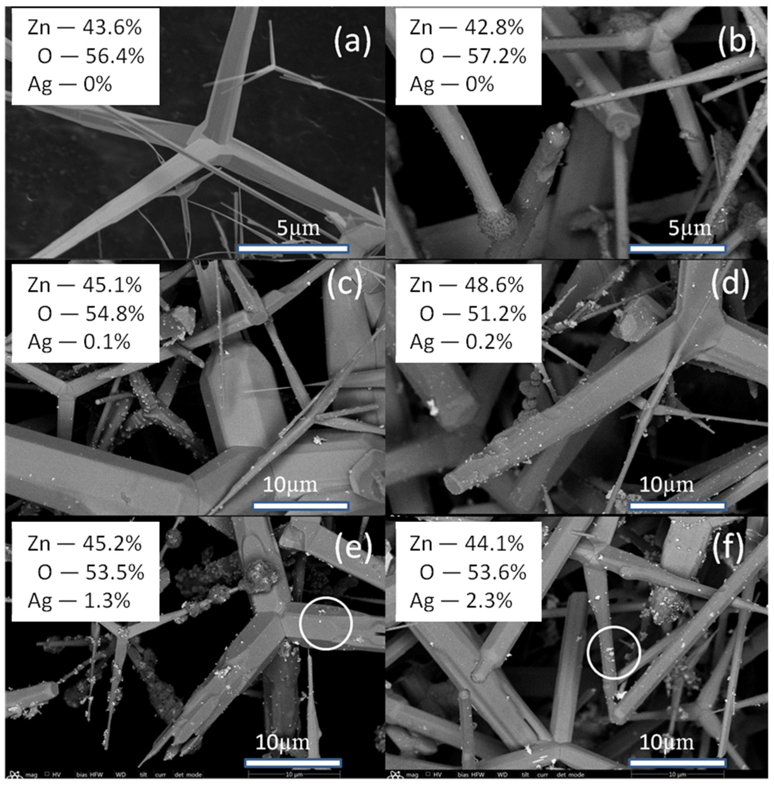 Molecules 30 04643 g001