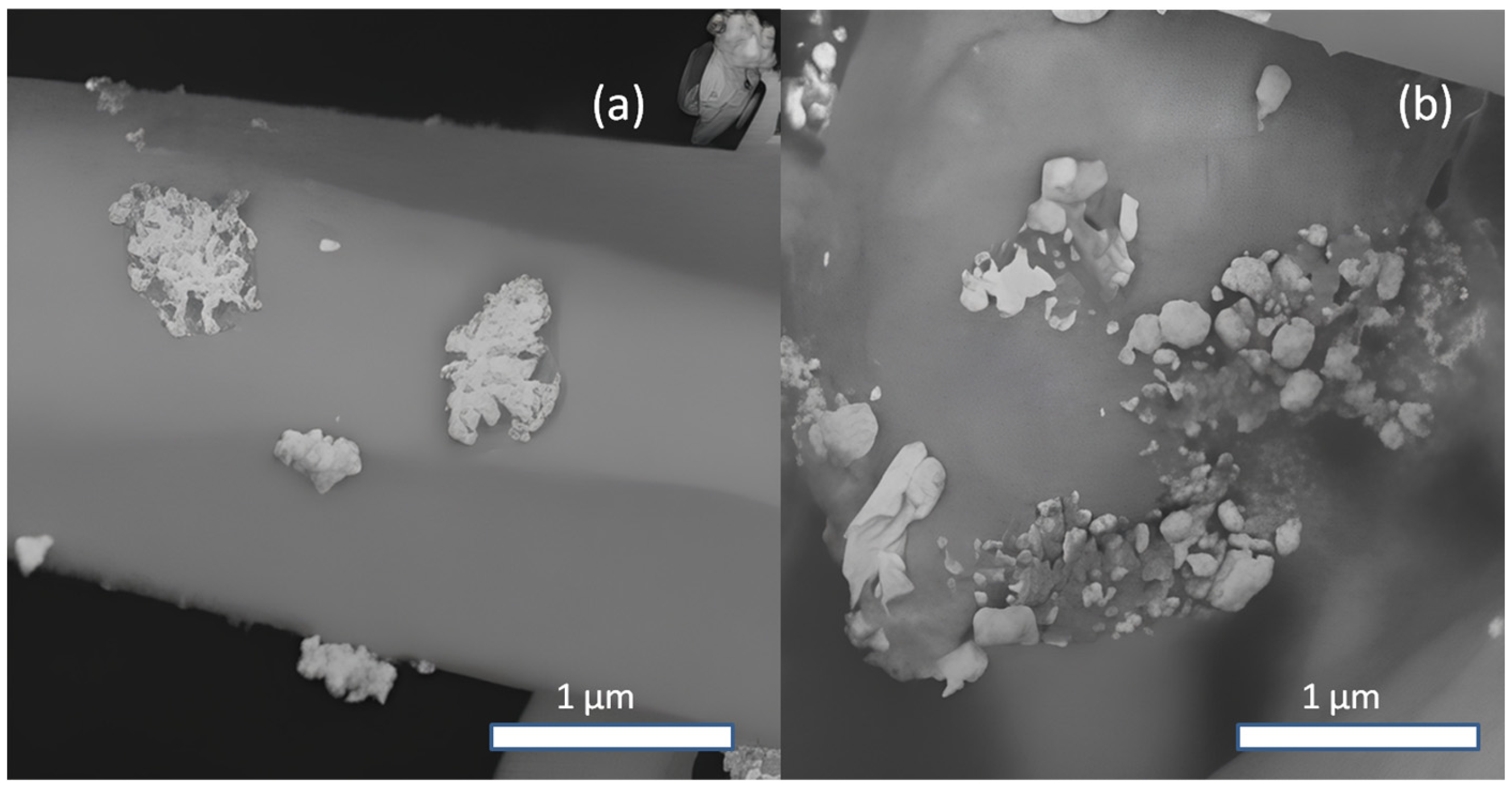 Molecules 30 04643 g002