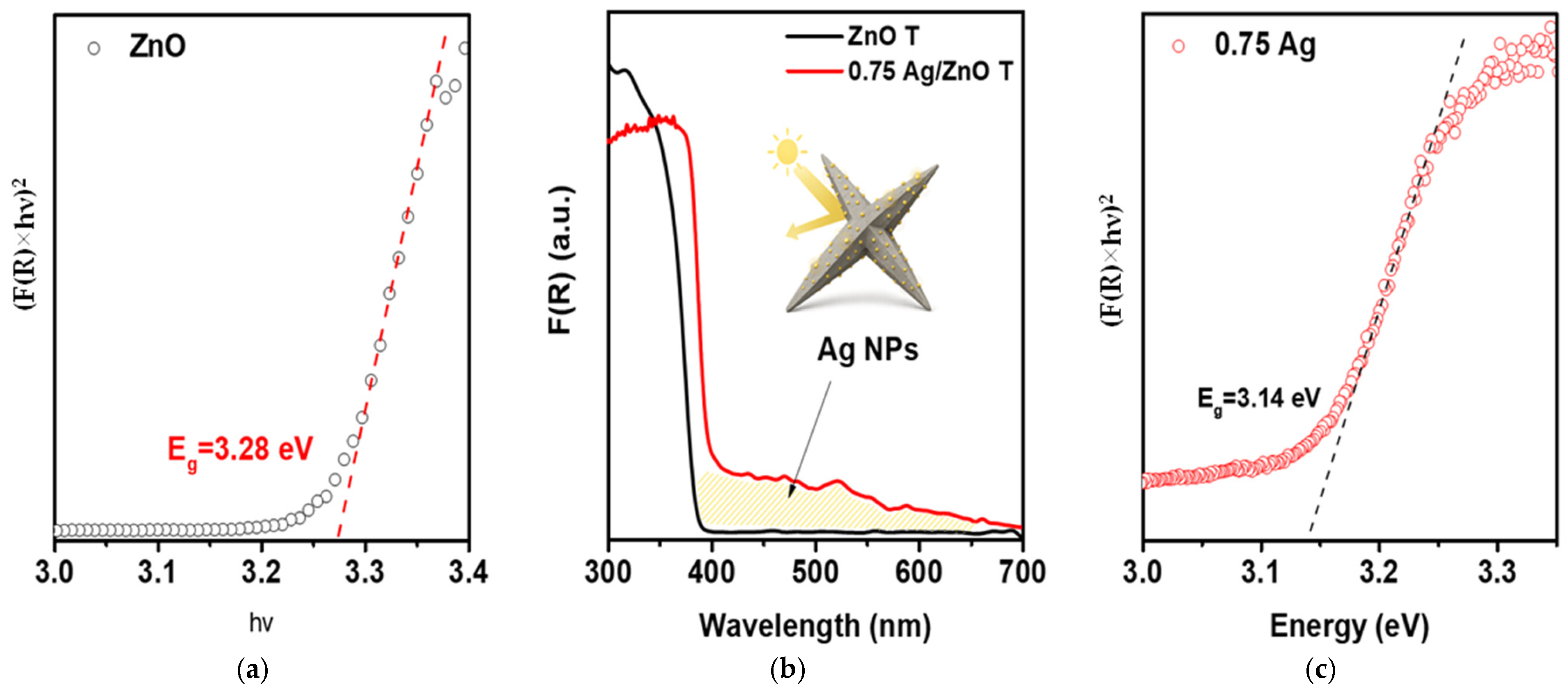 Molecules 30 04643 g010