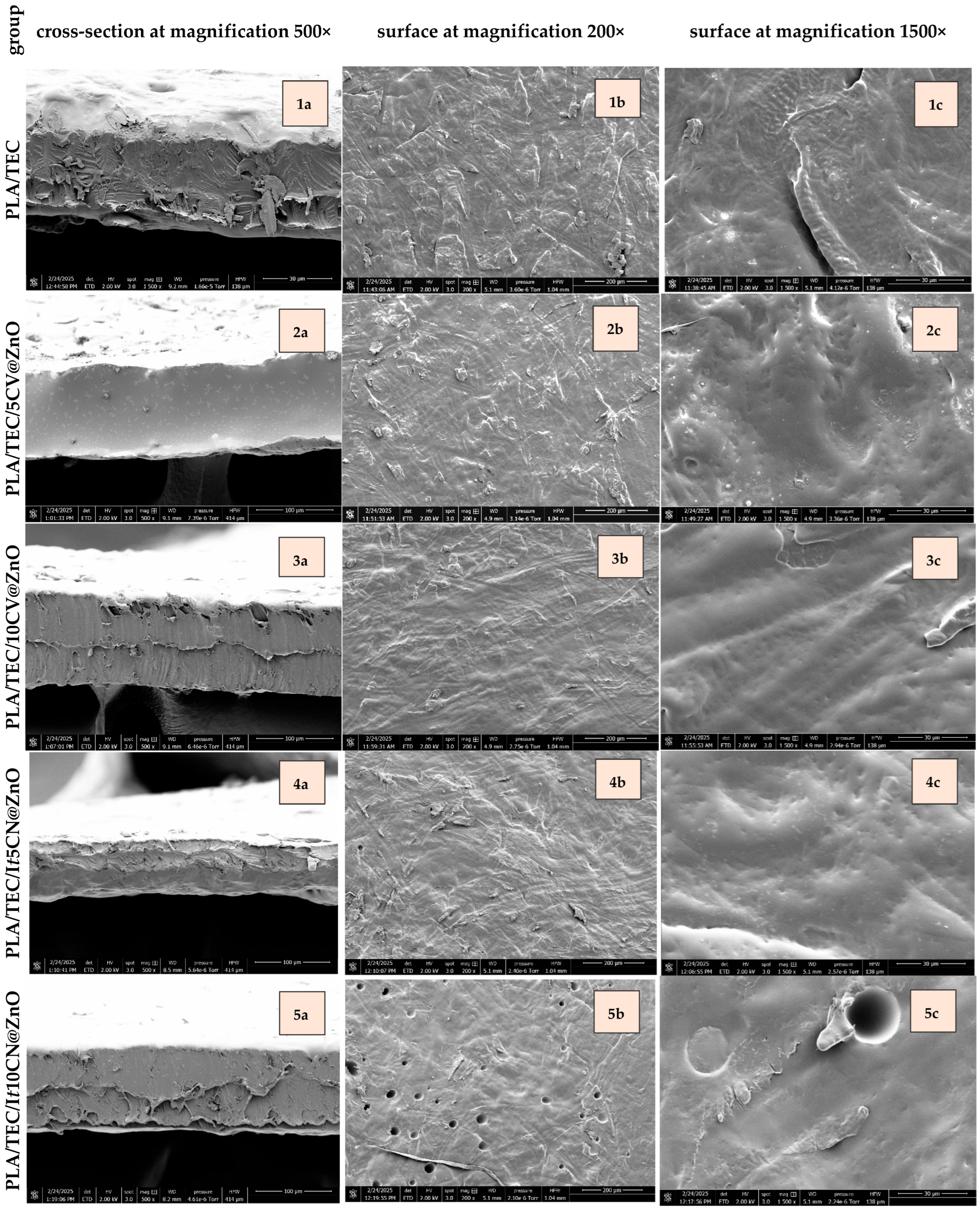 Molecules 30 04646 g005