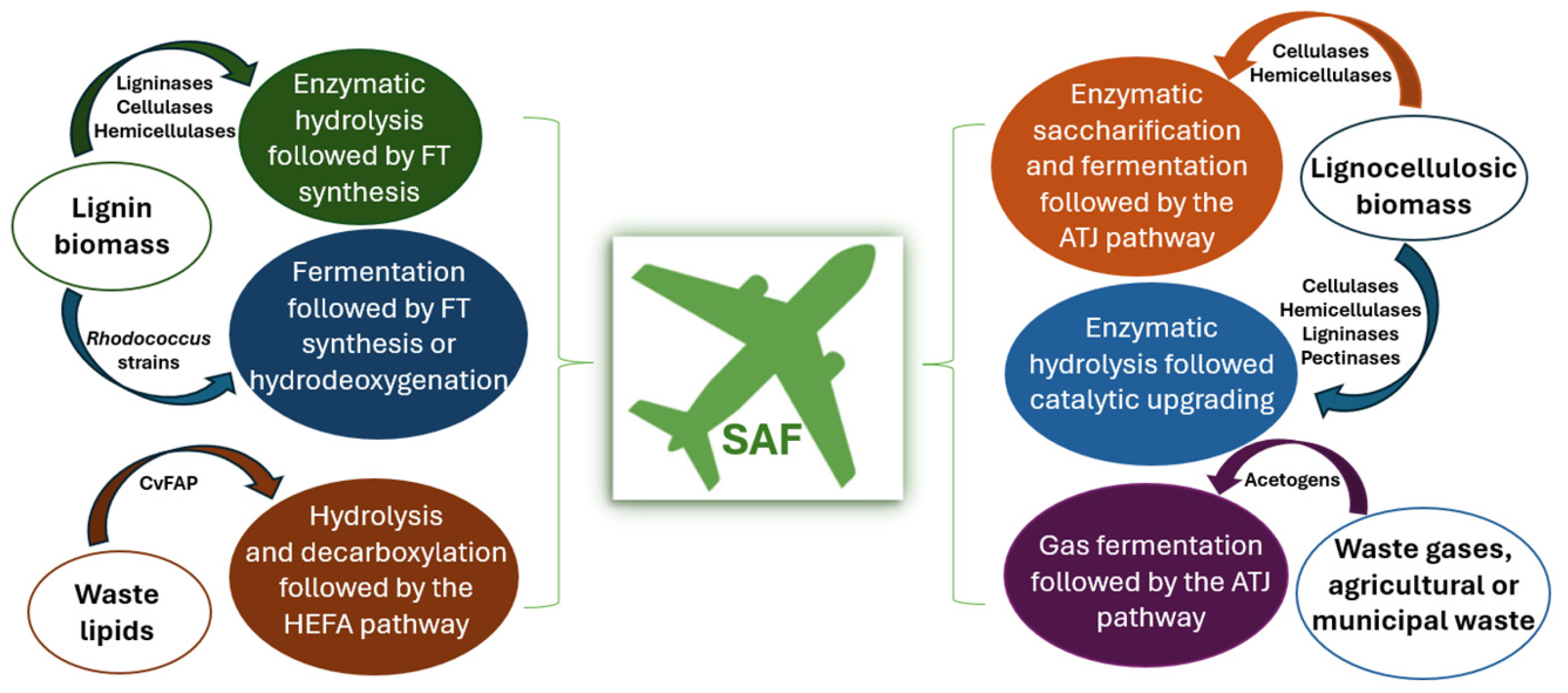 Molecules 30 04648 g001 Molecules 30 04648 g001