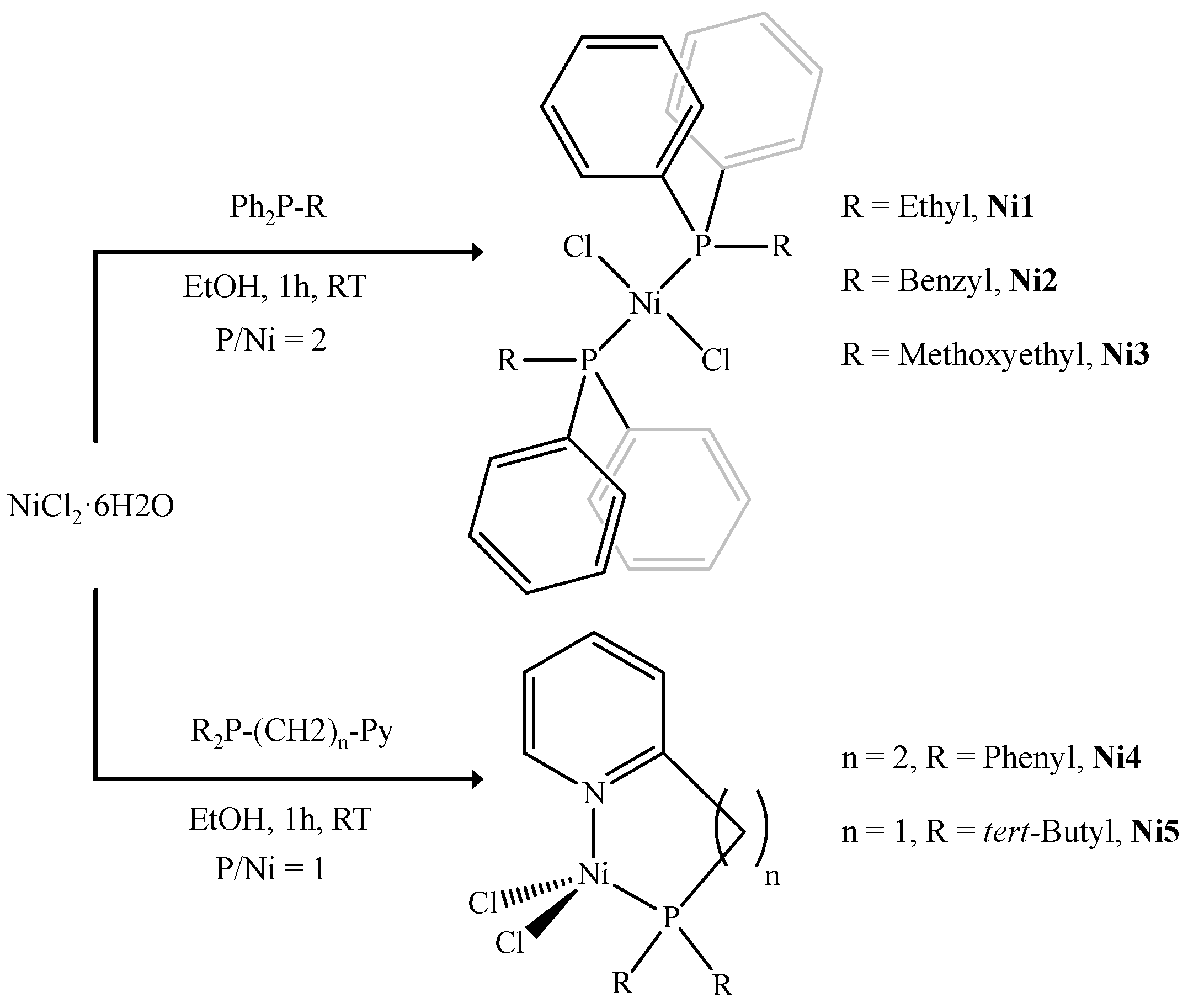 Molecules 30 04655 sch001 Molecules 30 04655 sch001