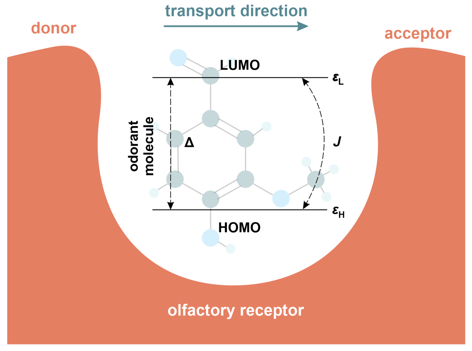 Molecules 30 04663 g003