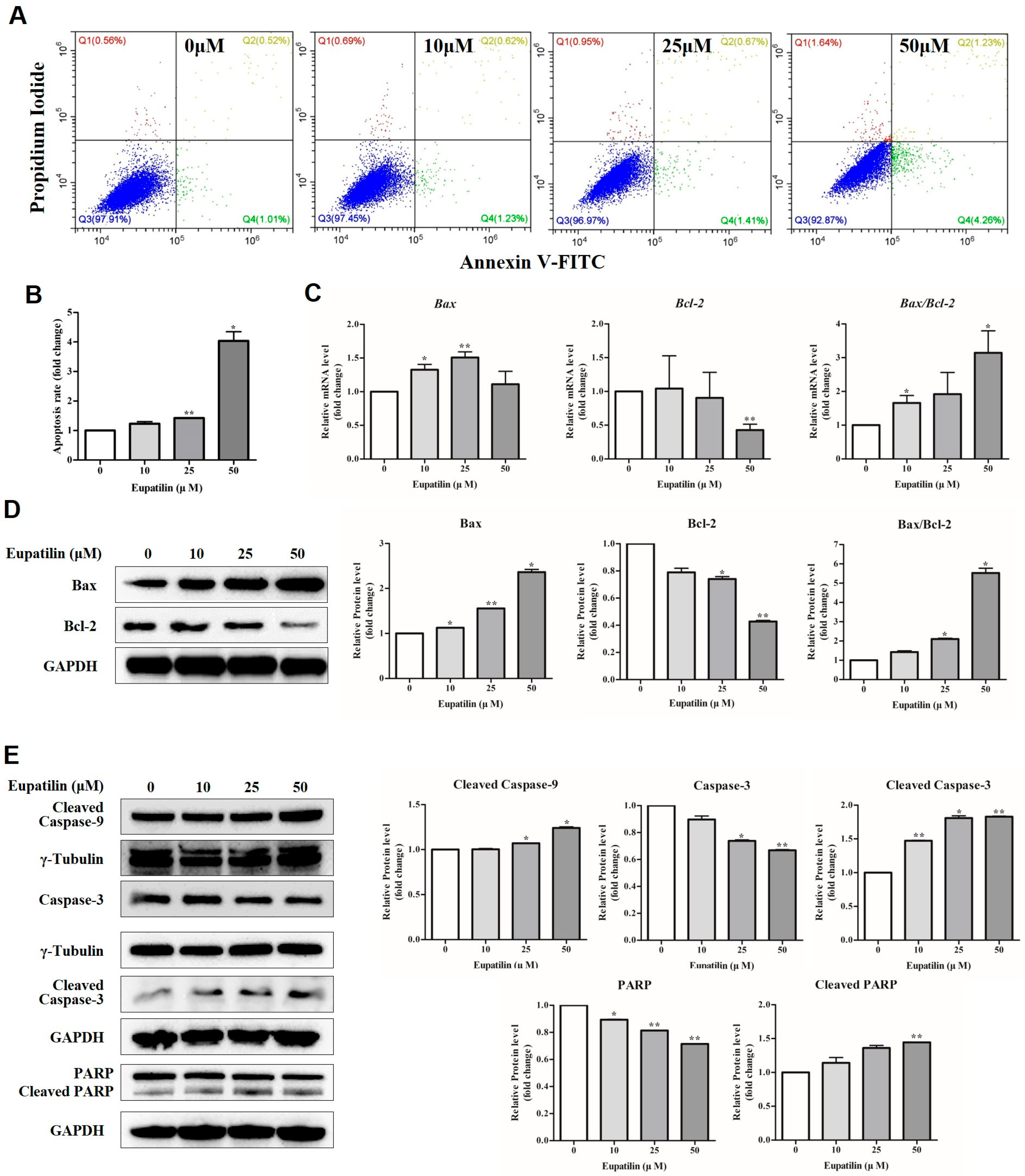 Molecules 30 04666 g004