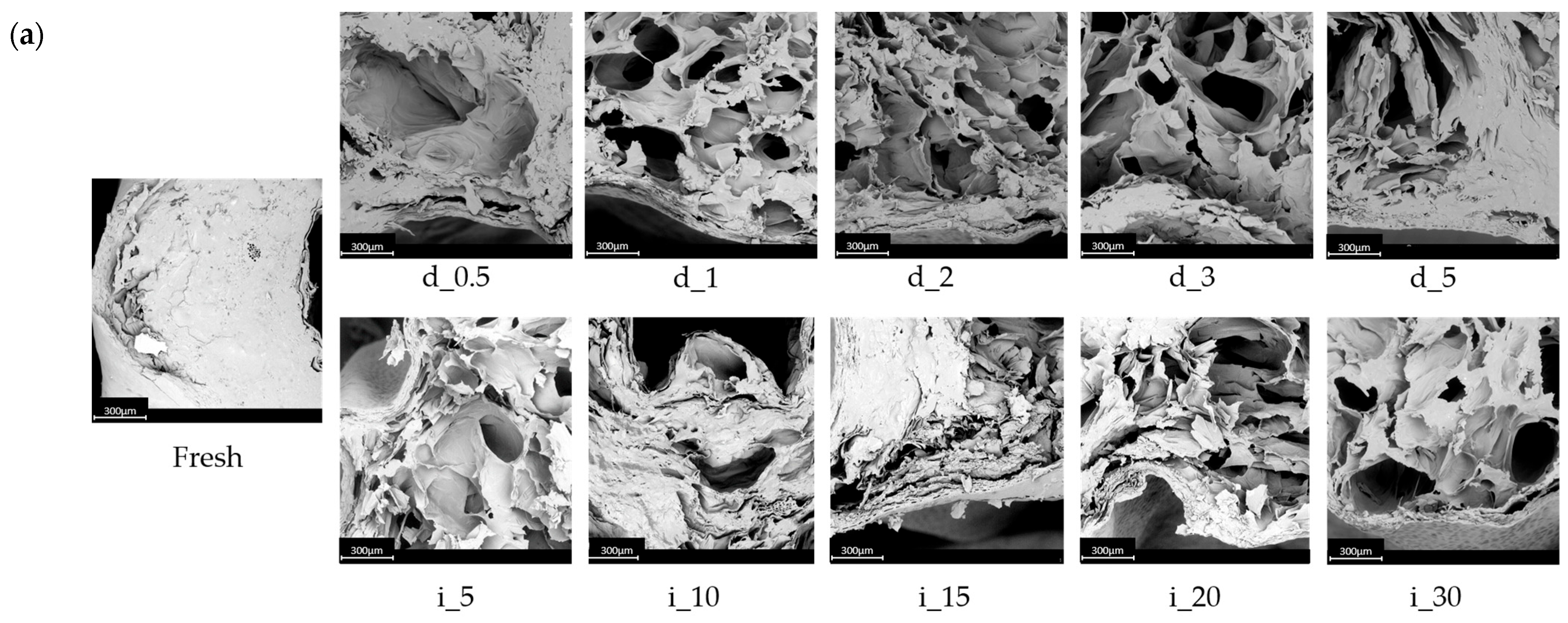Molecules 30 04668 g006a