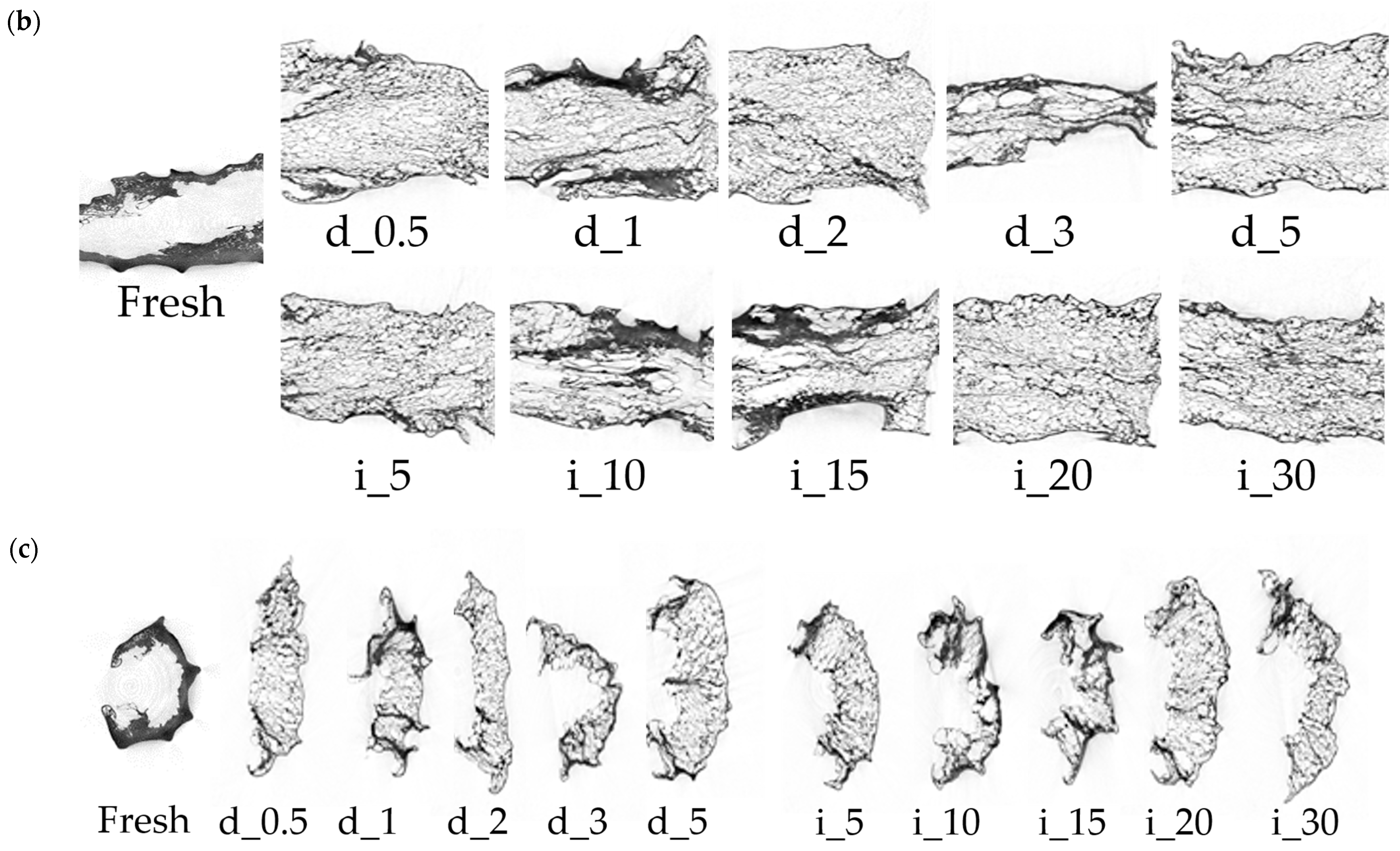 Molecules 30 04668 g006b