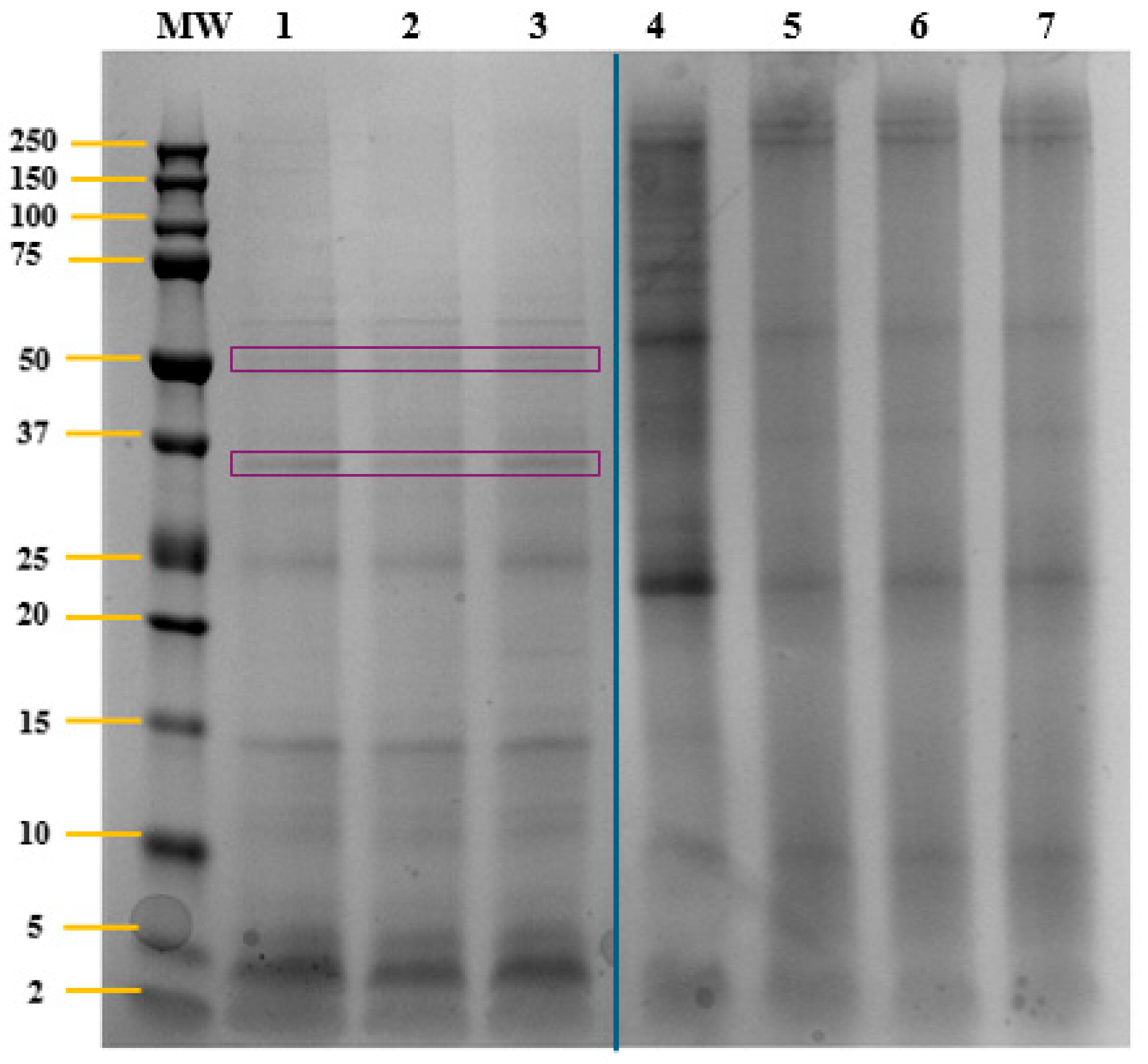 Molecules 30 04669 g001