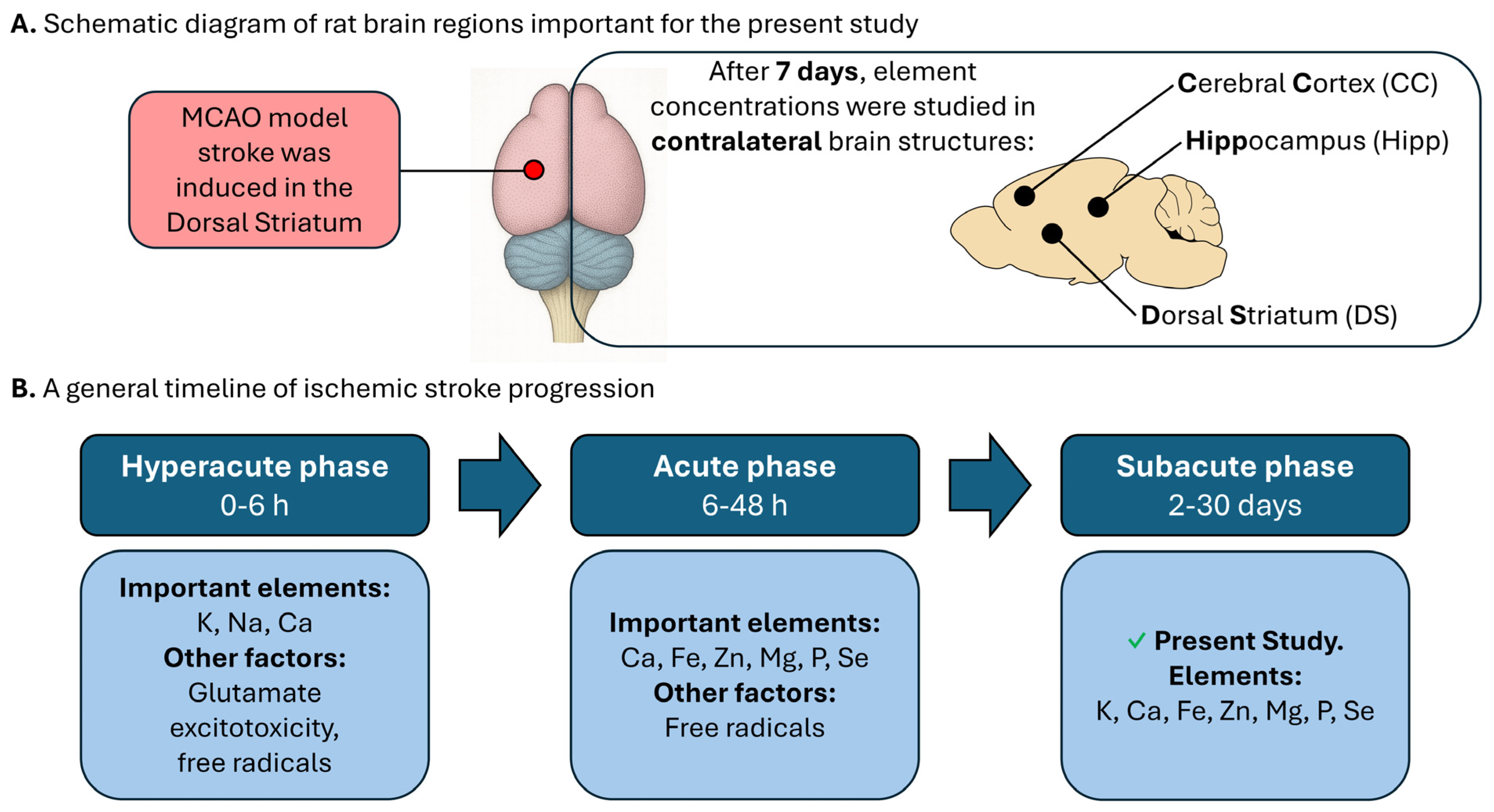 Molecules 30 04672 g005
