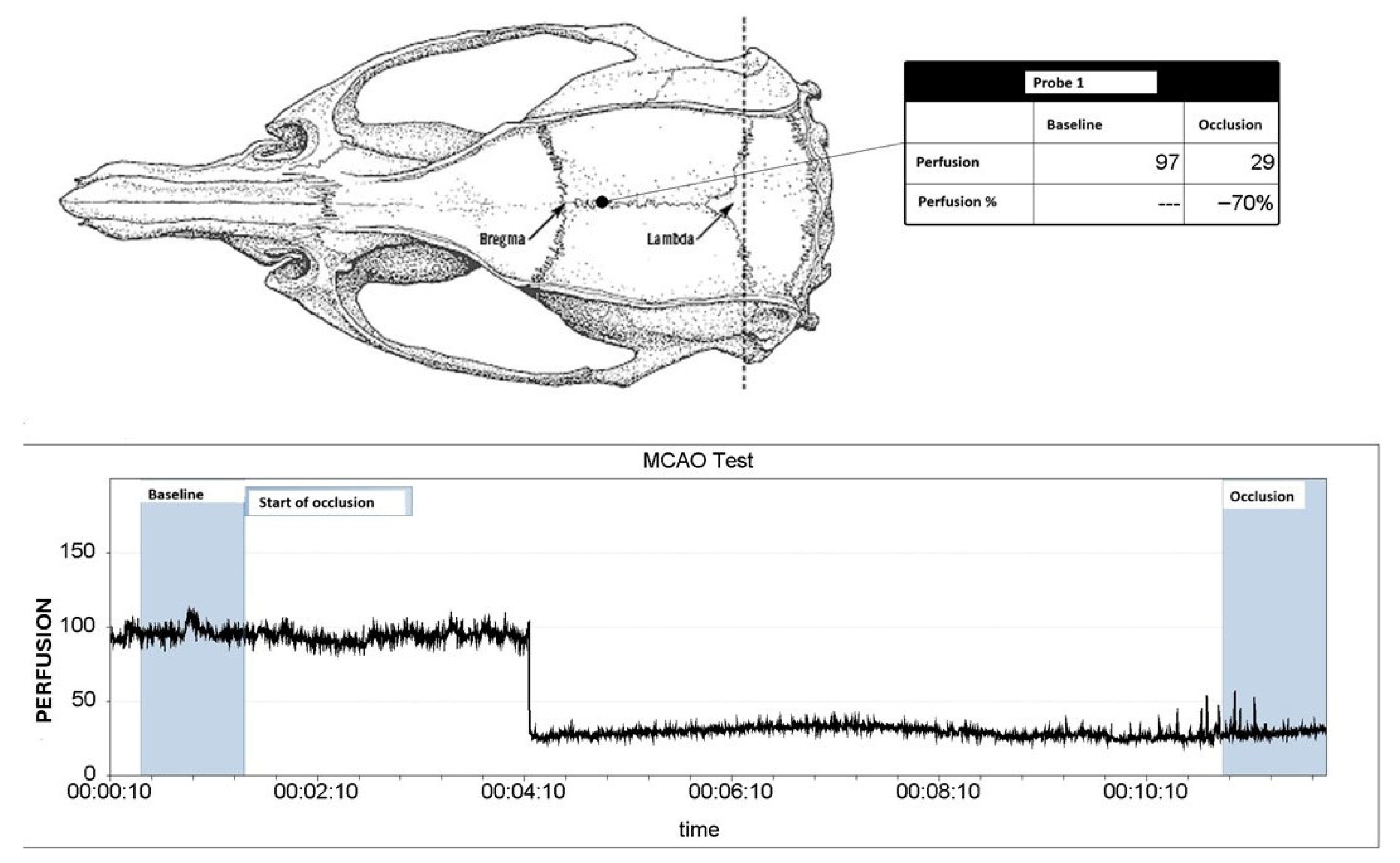 Molecules 30 04672 g006