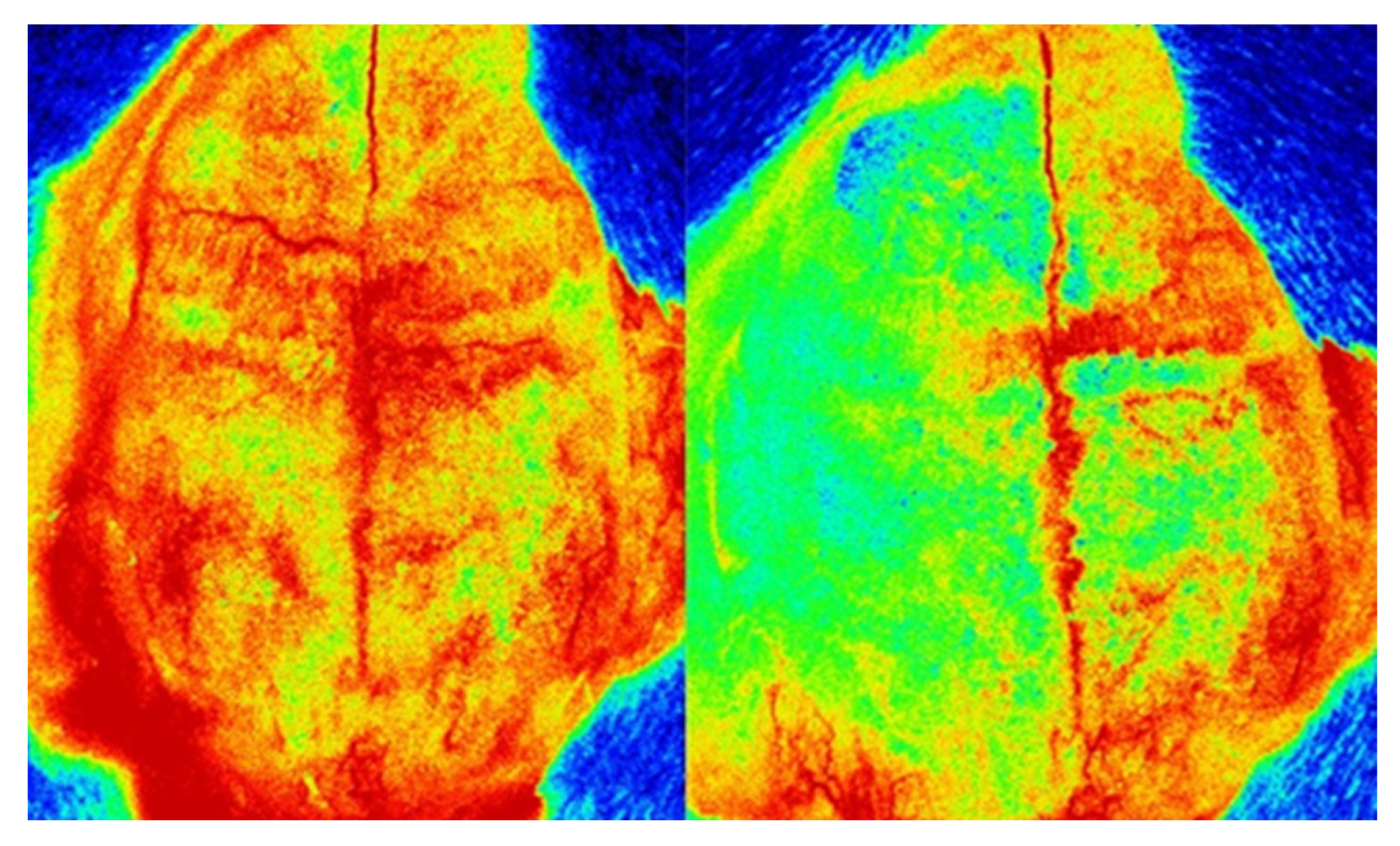 Molecules 30 04672 g007