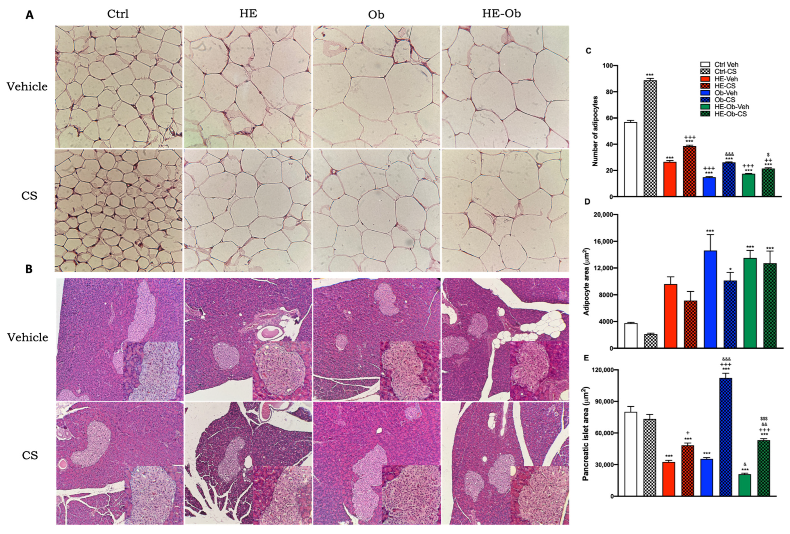 Molecules 30 04673 g005