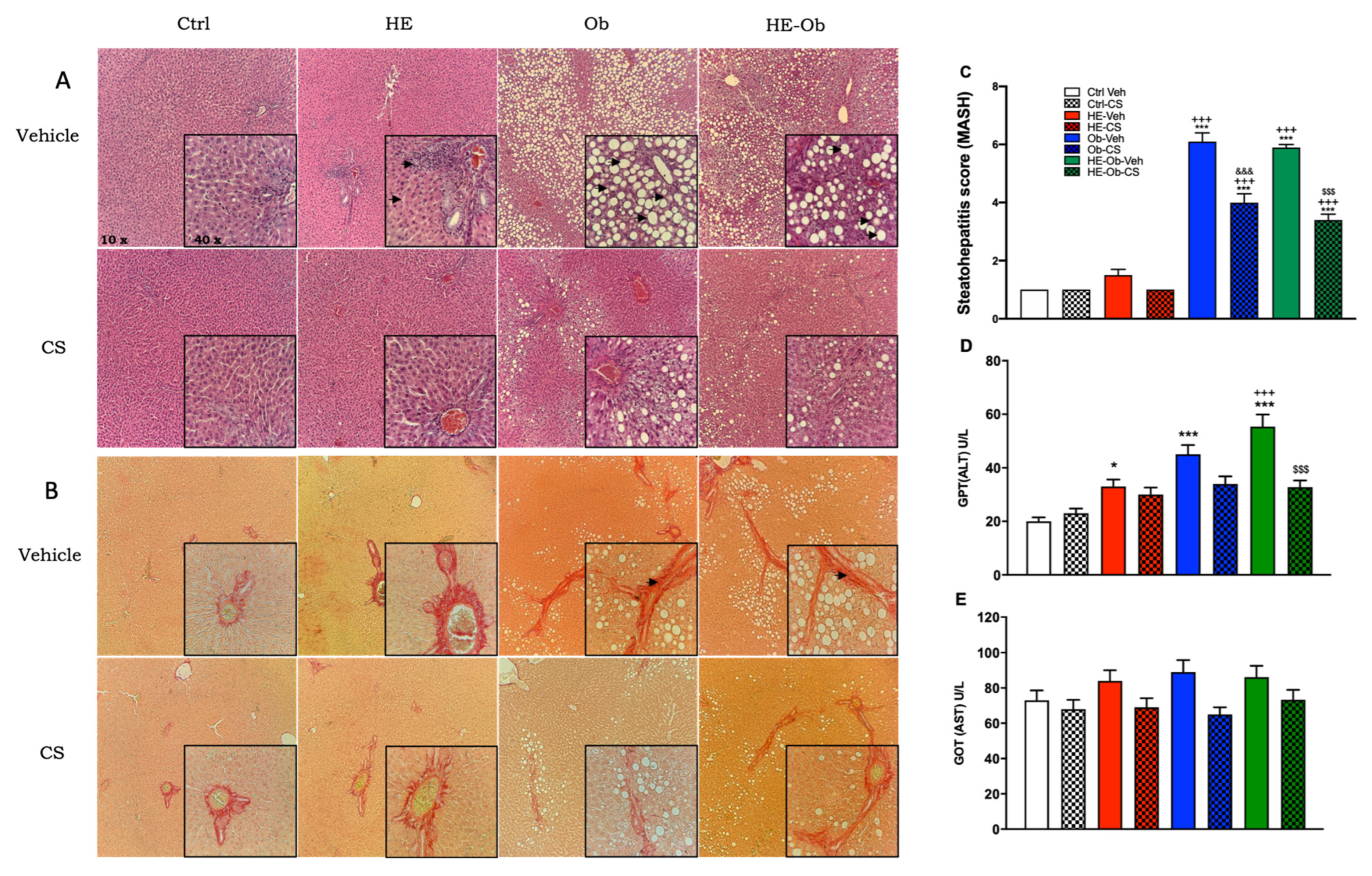 Molecules 30 04673 g006