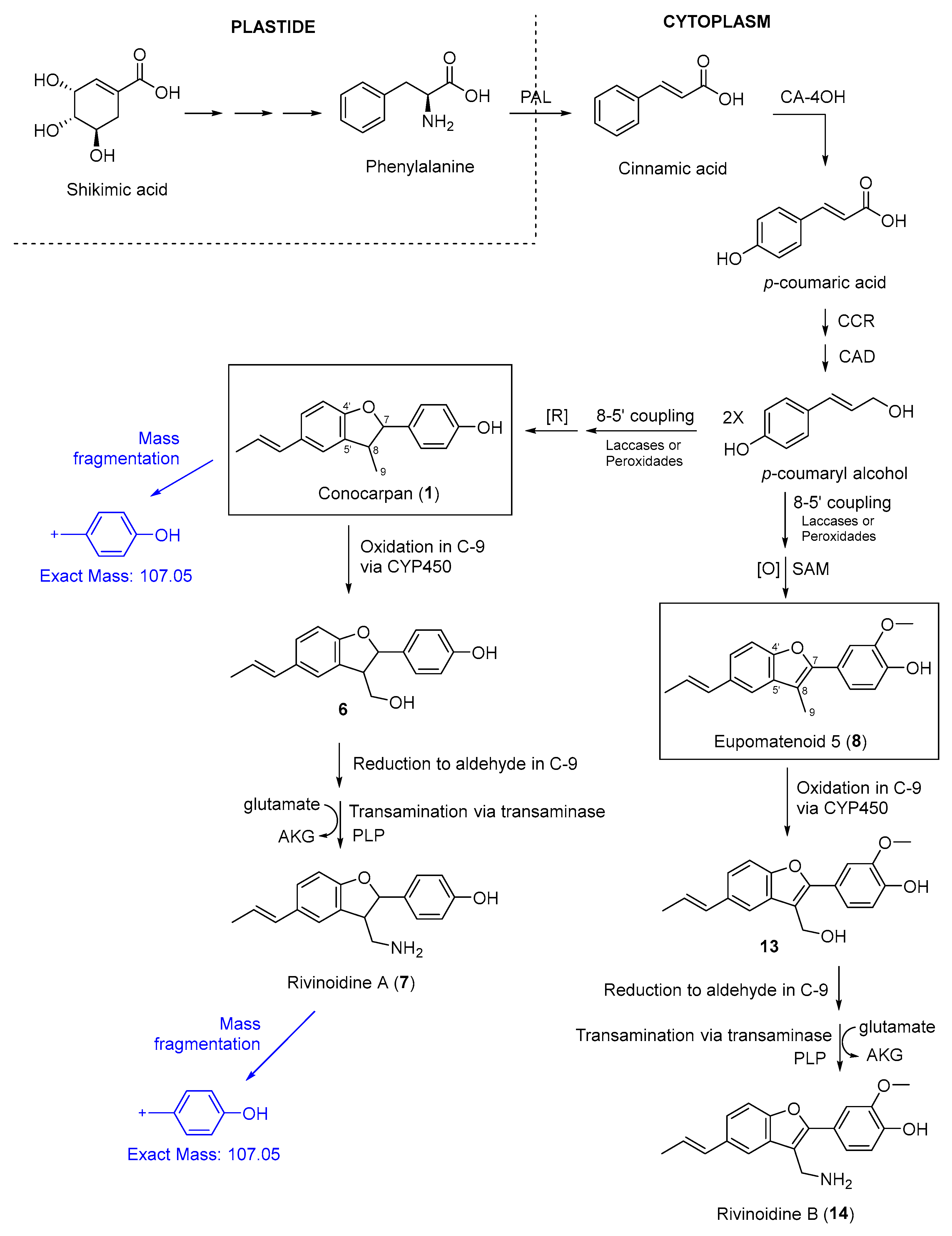 Molecules 30 04682 g008