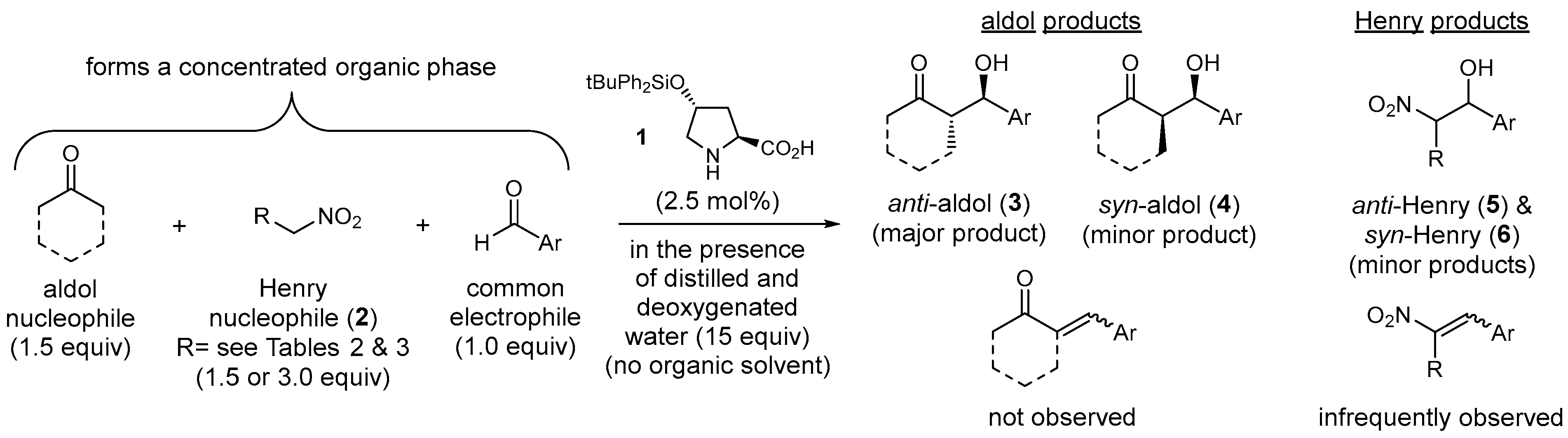 Molecules 30 04688 sch002