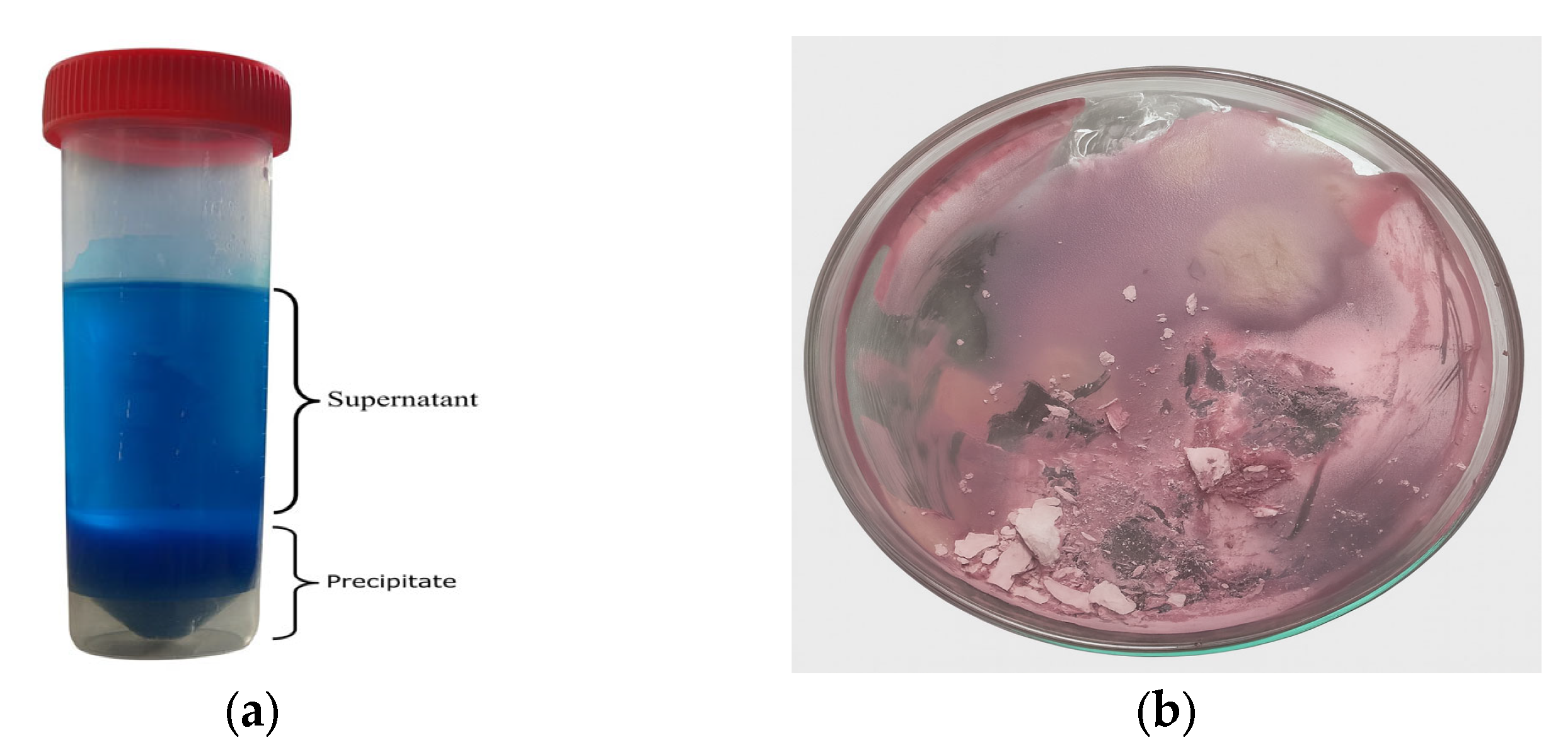 Molecules 30 04690 g004