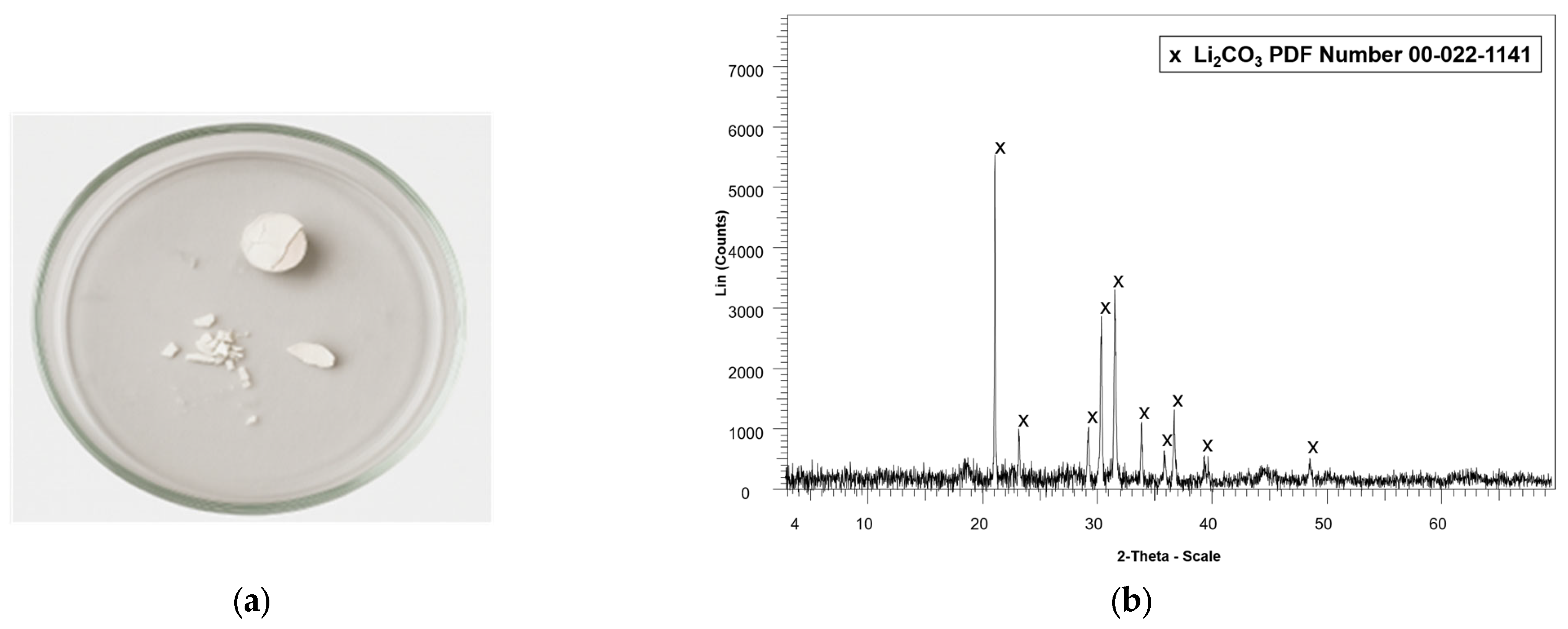 Molecules 30 04690 g006
