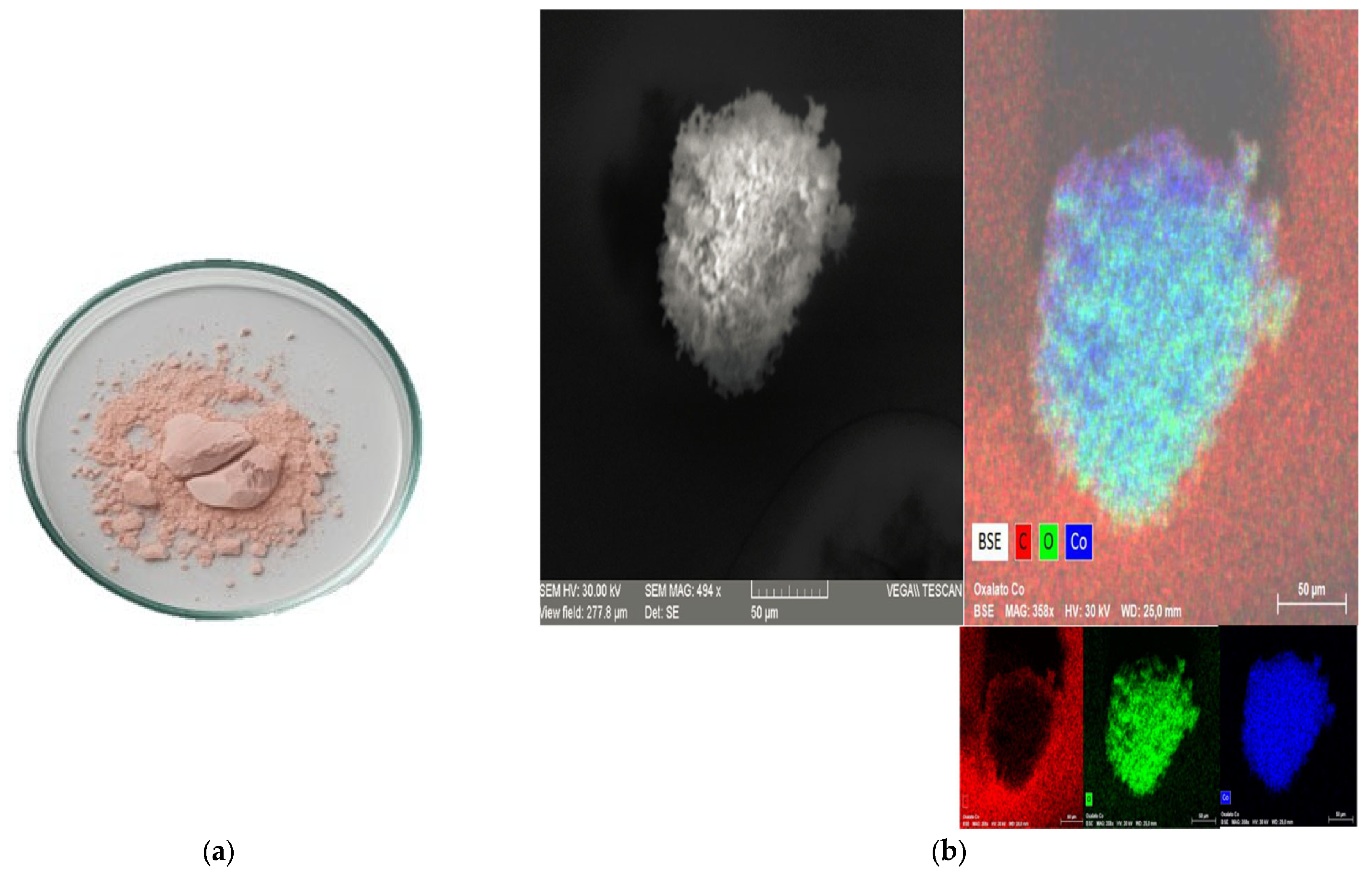 Molecules 30 04690 g007