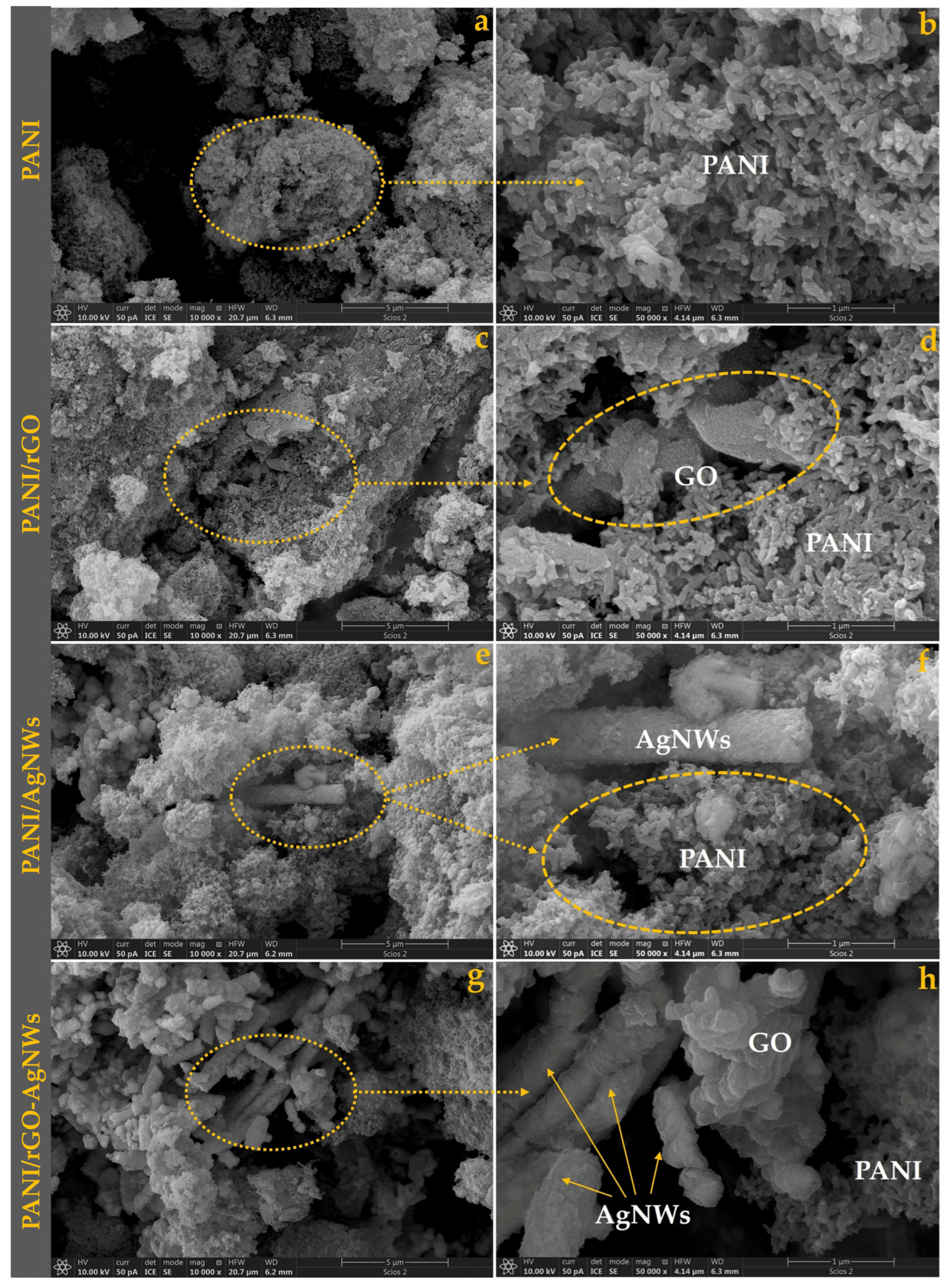Molecules 30 04693 g001