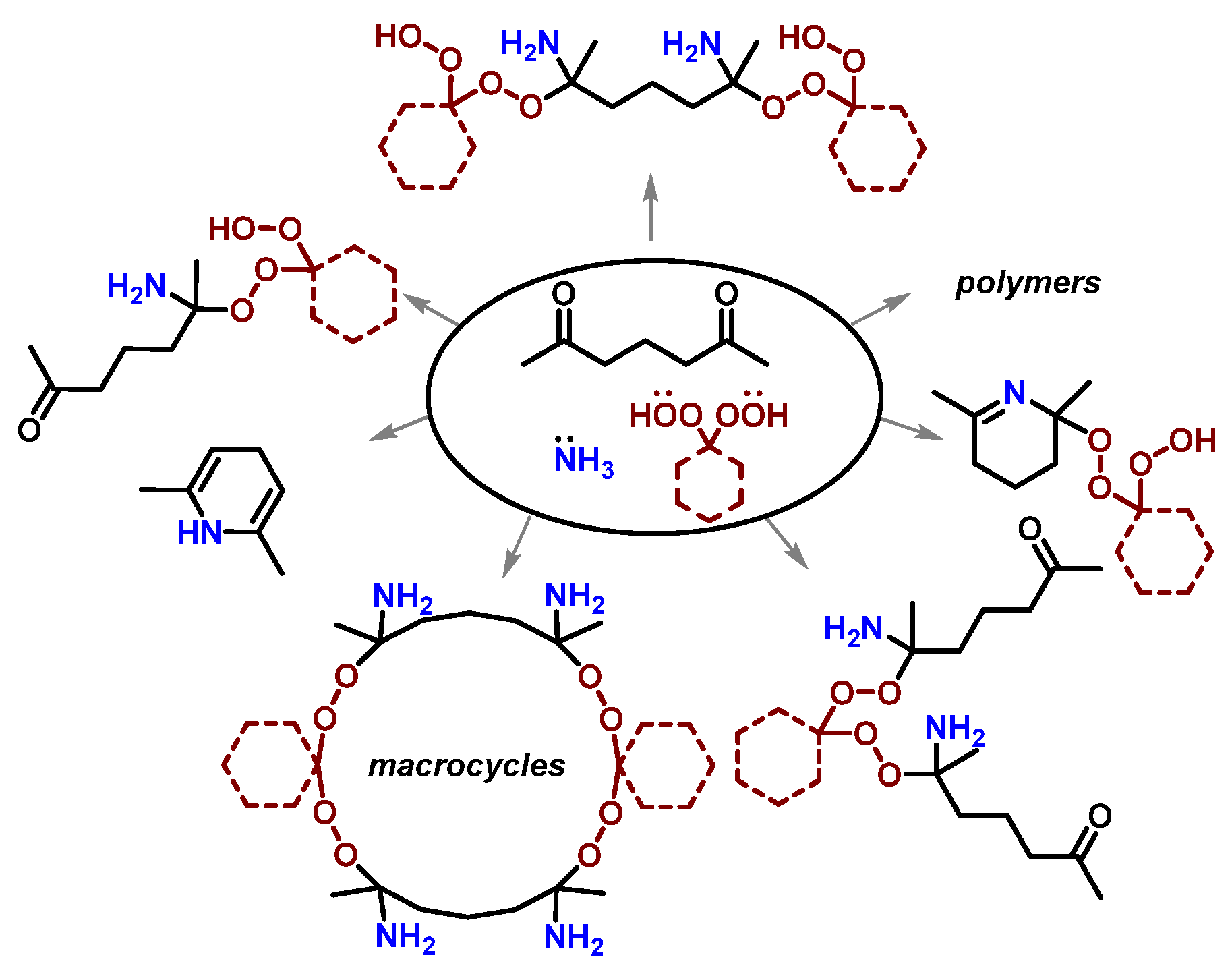 Molecules 30 04703 g002 Molecules 30 04703 g002