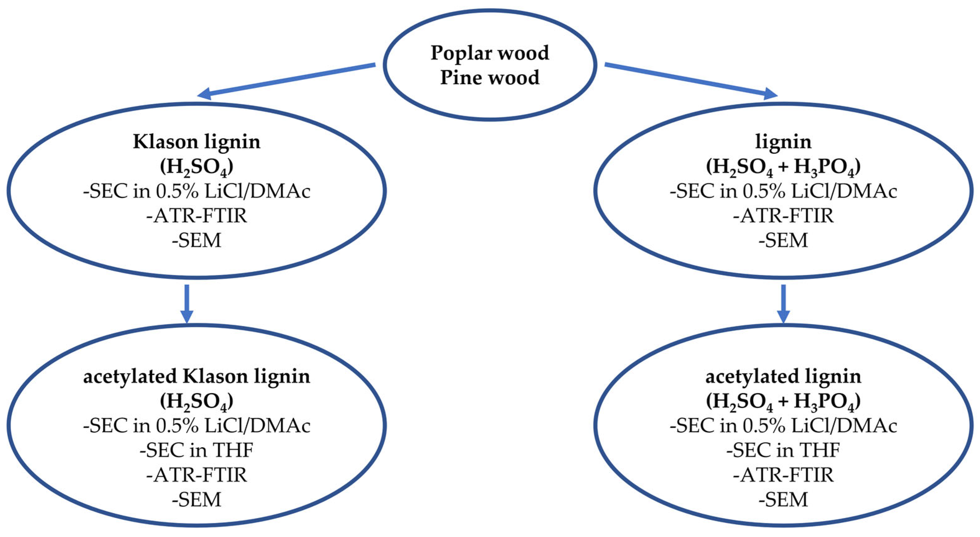 Molecules 30 04705 g008 Molecules 30 04705 g008