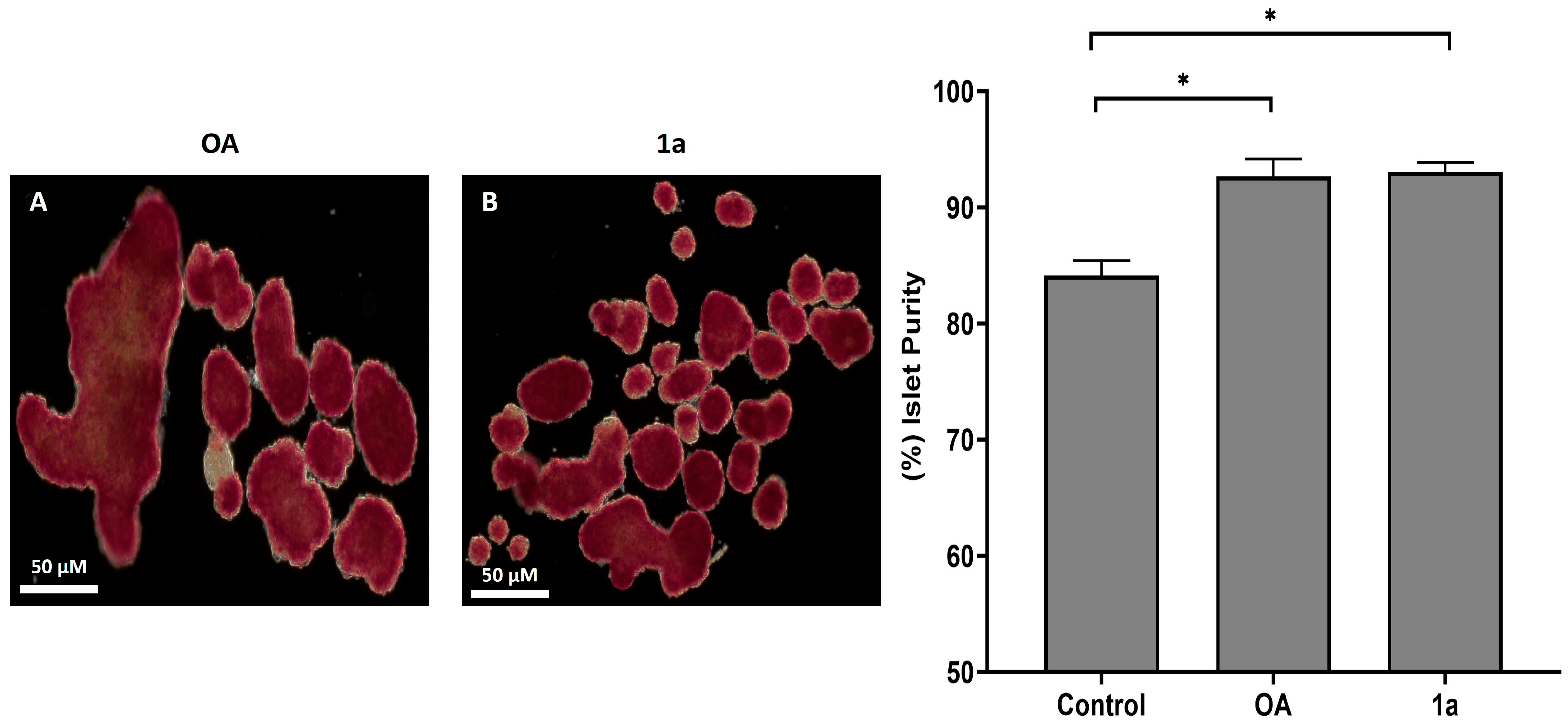 Molecules 30 04716 g004 Molecules 30 04716 g004