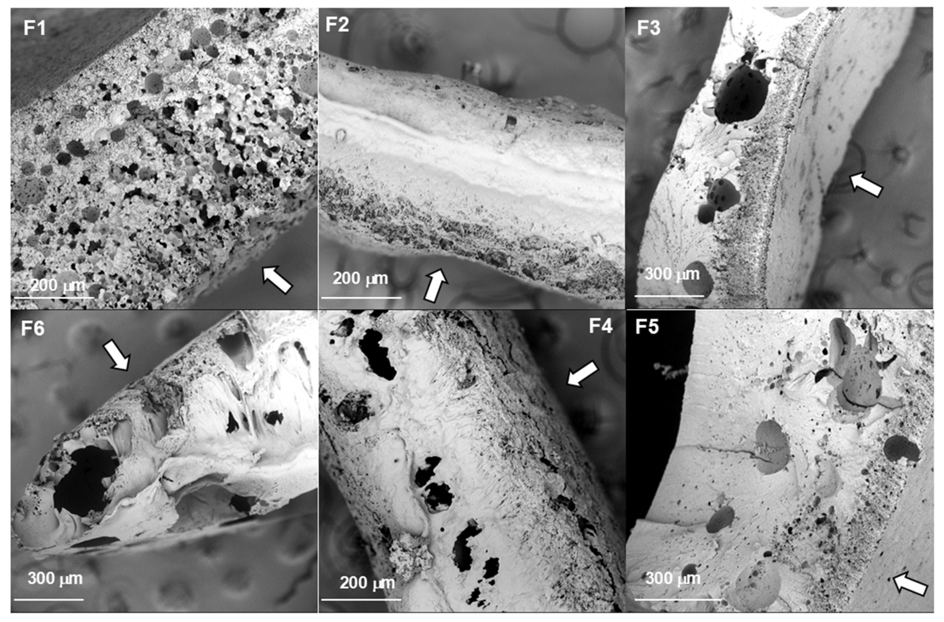 Molecules 30 04717 g002