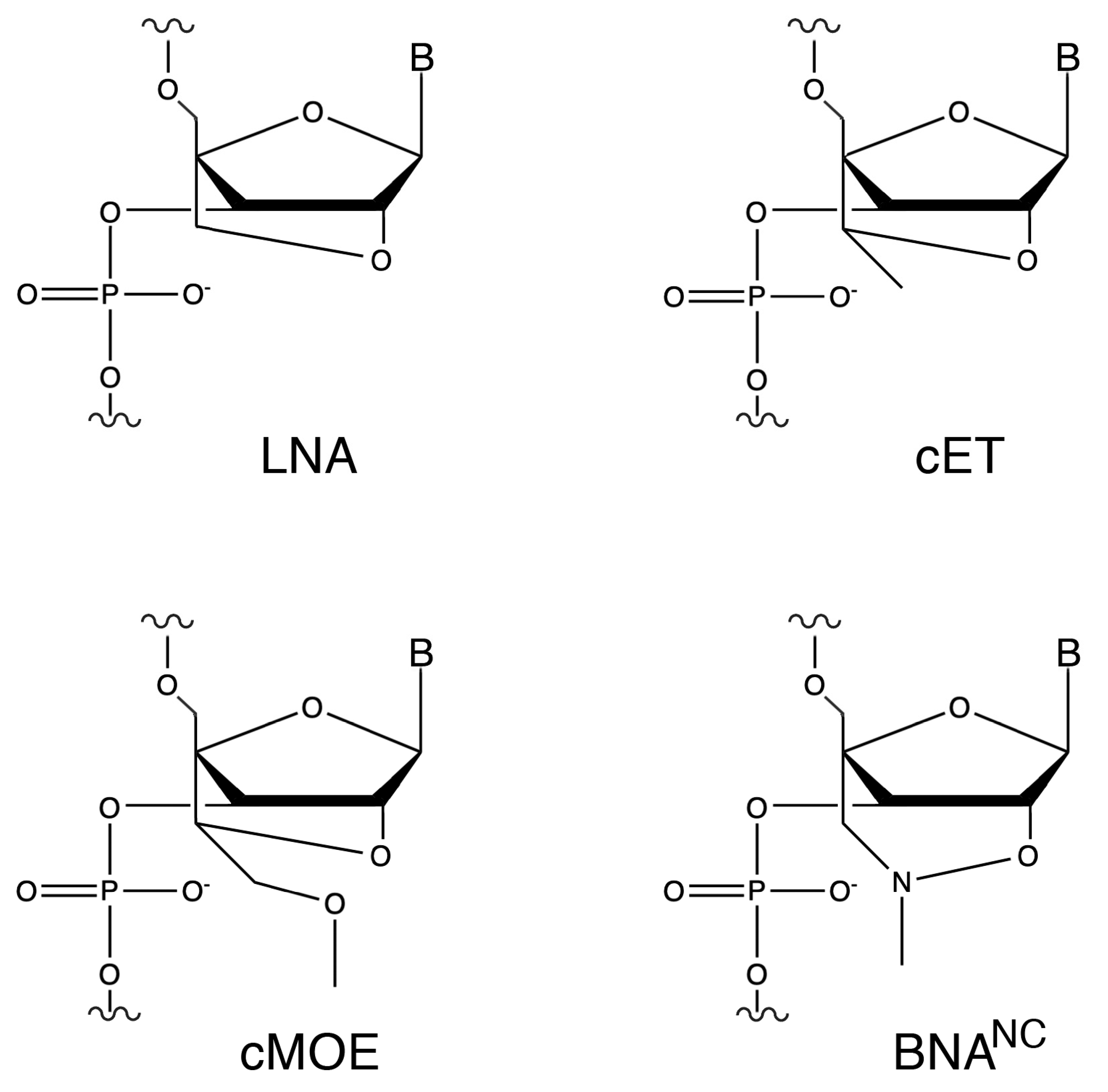 Molecules 30 04721 g001 Molecules 30 04721 g001